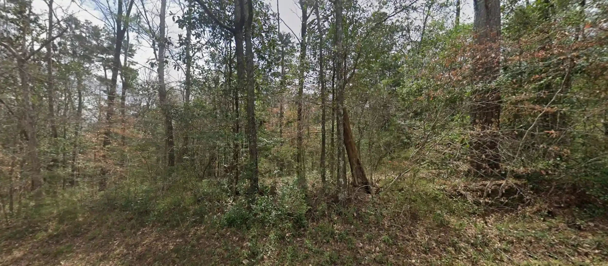 owner-financed-no-credit-check-land.webp