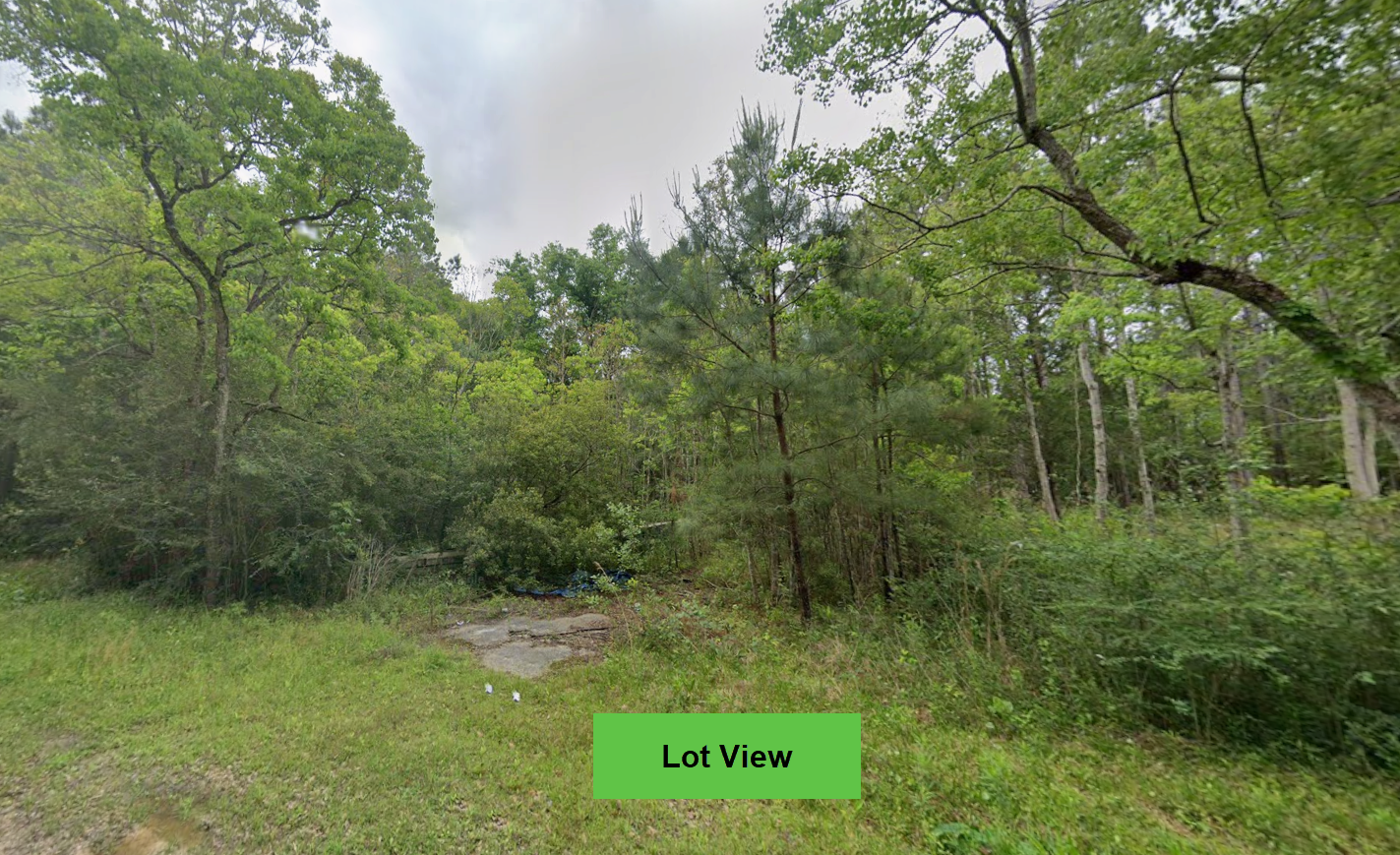 Land for sale $99 down in Mississippi.png