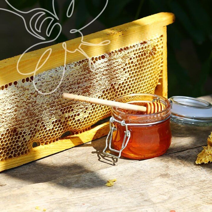 Domesticated beekeeping was a common practice throughout the ancient world, starting as early as 2500 B.C.E. in Egypt. We&rsquo;re continuing this tradition, helping to pollinate our gardens and crops while keeping the Blackwood Park biodiversity ali