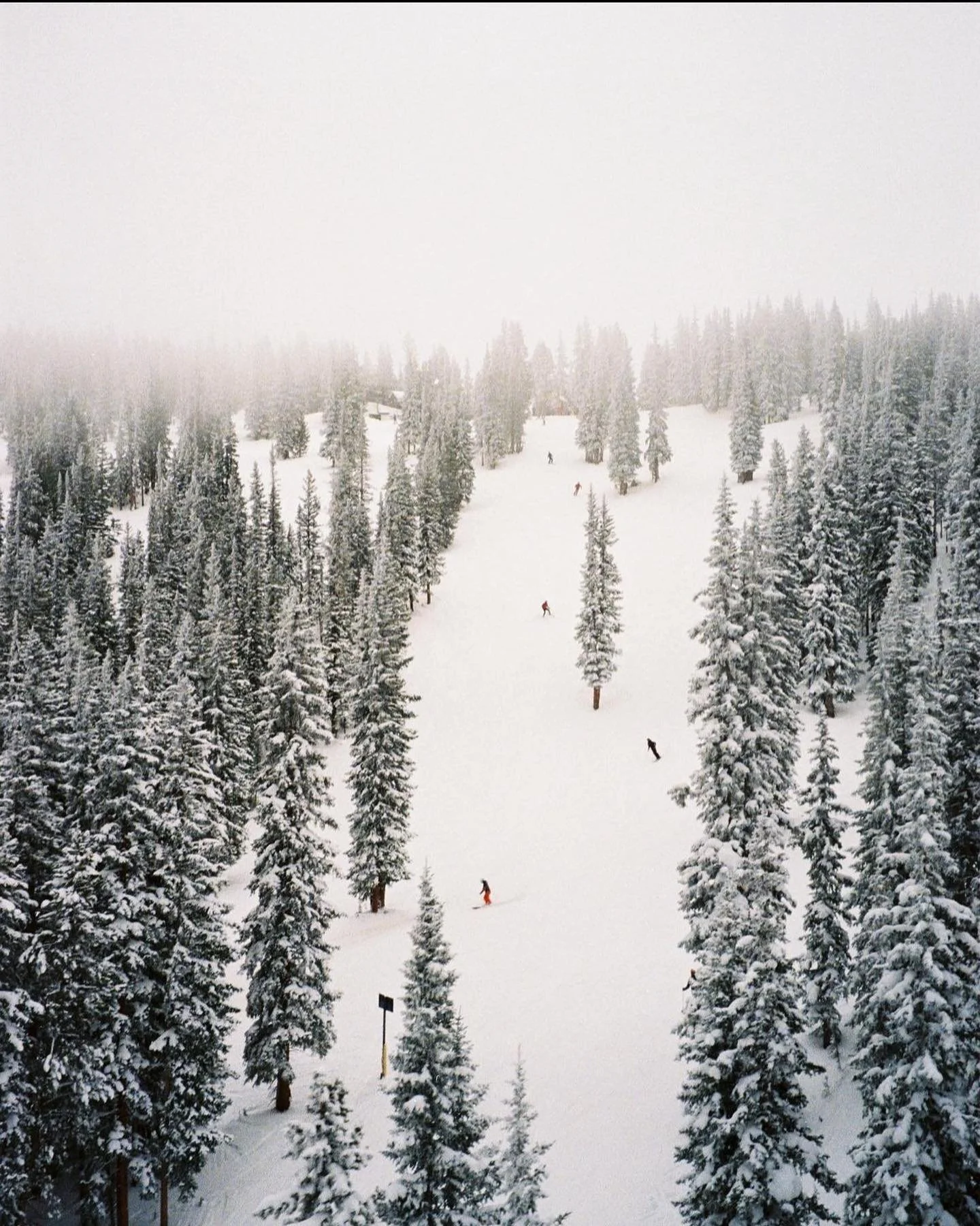 &bull; @voooshoots 📸🔥

tag us &amp; use #thevisualsuspects whenever you post for a chance to be featured on thevisualsuspects.com 🌎