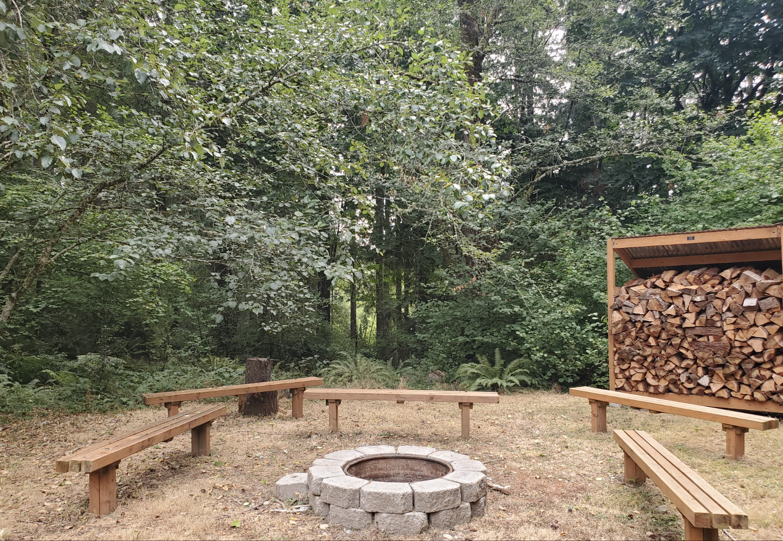 Firepit Sitting Area.png
