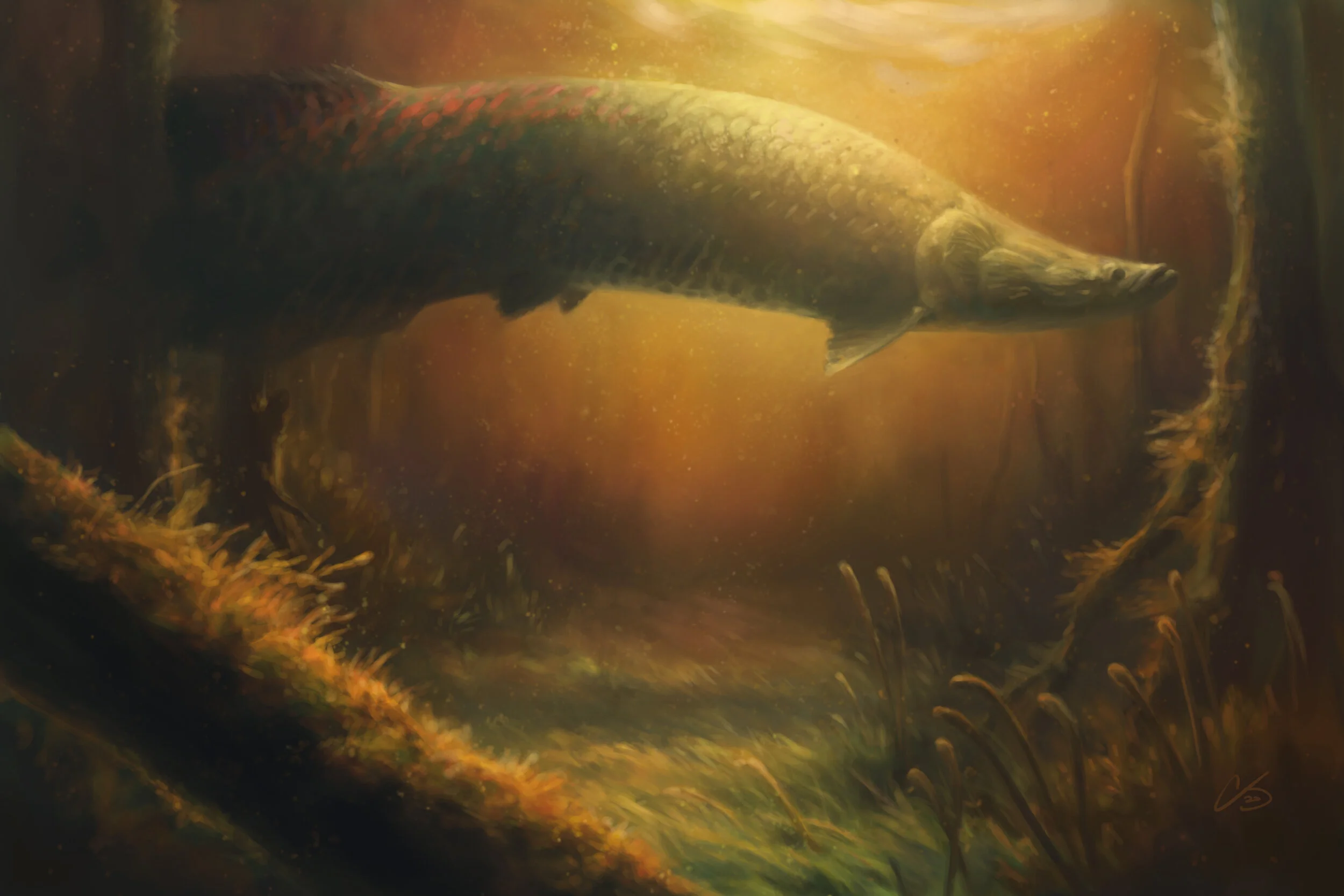 assignment9_arapaima.jpg