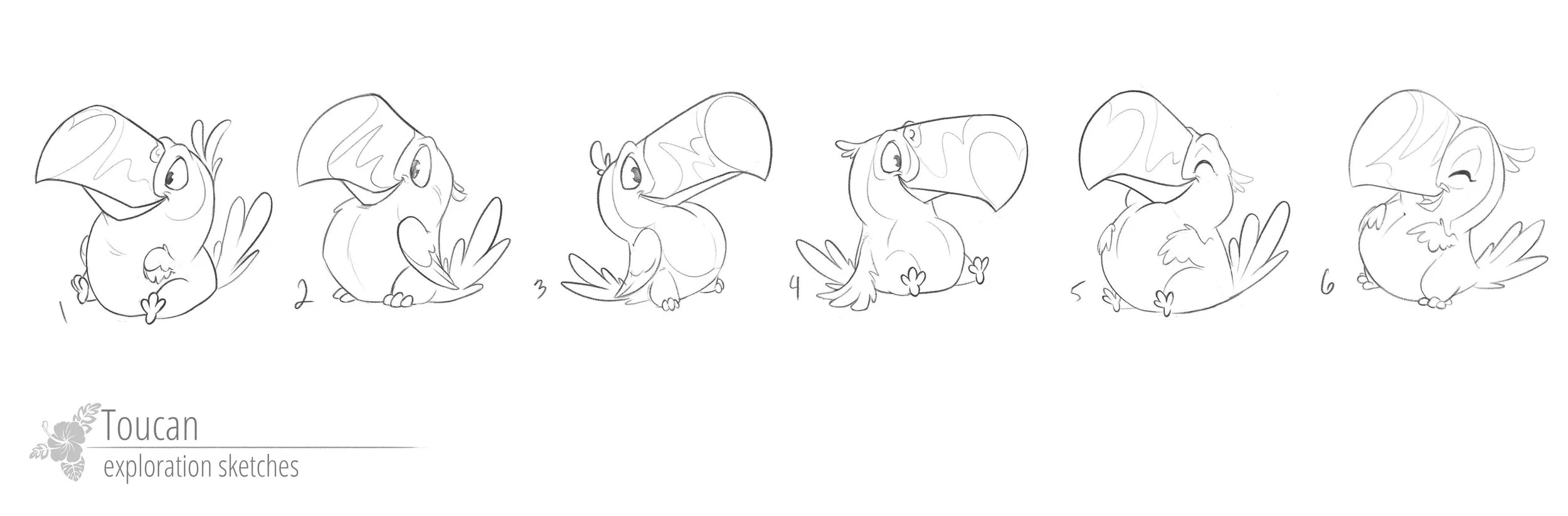 Toucan Exploration Sketches