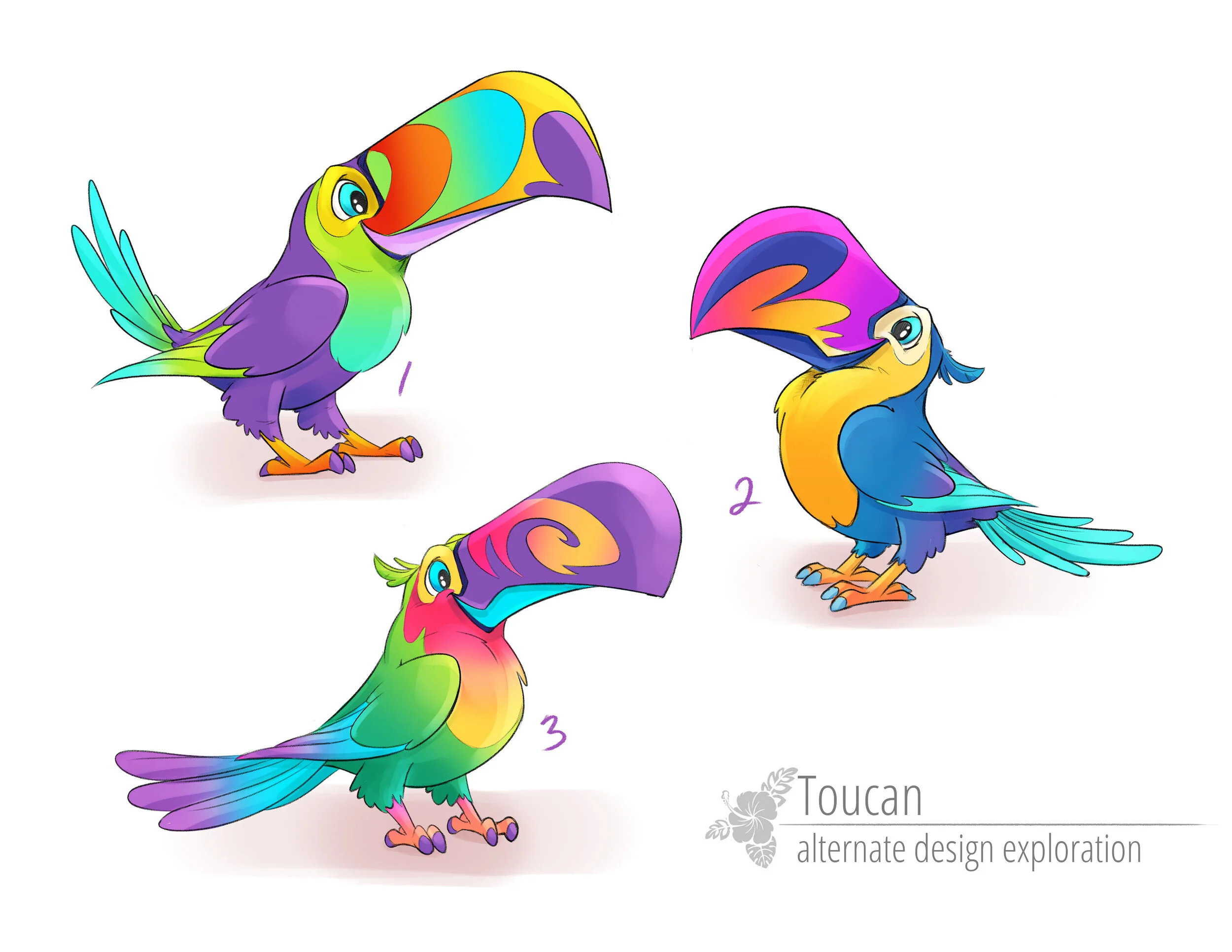 Toucan Large Format Exploration Sketches