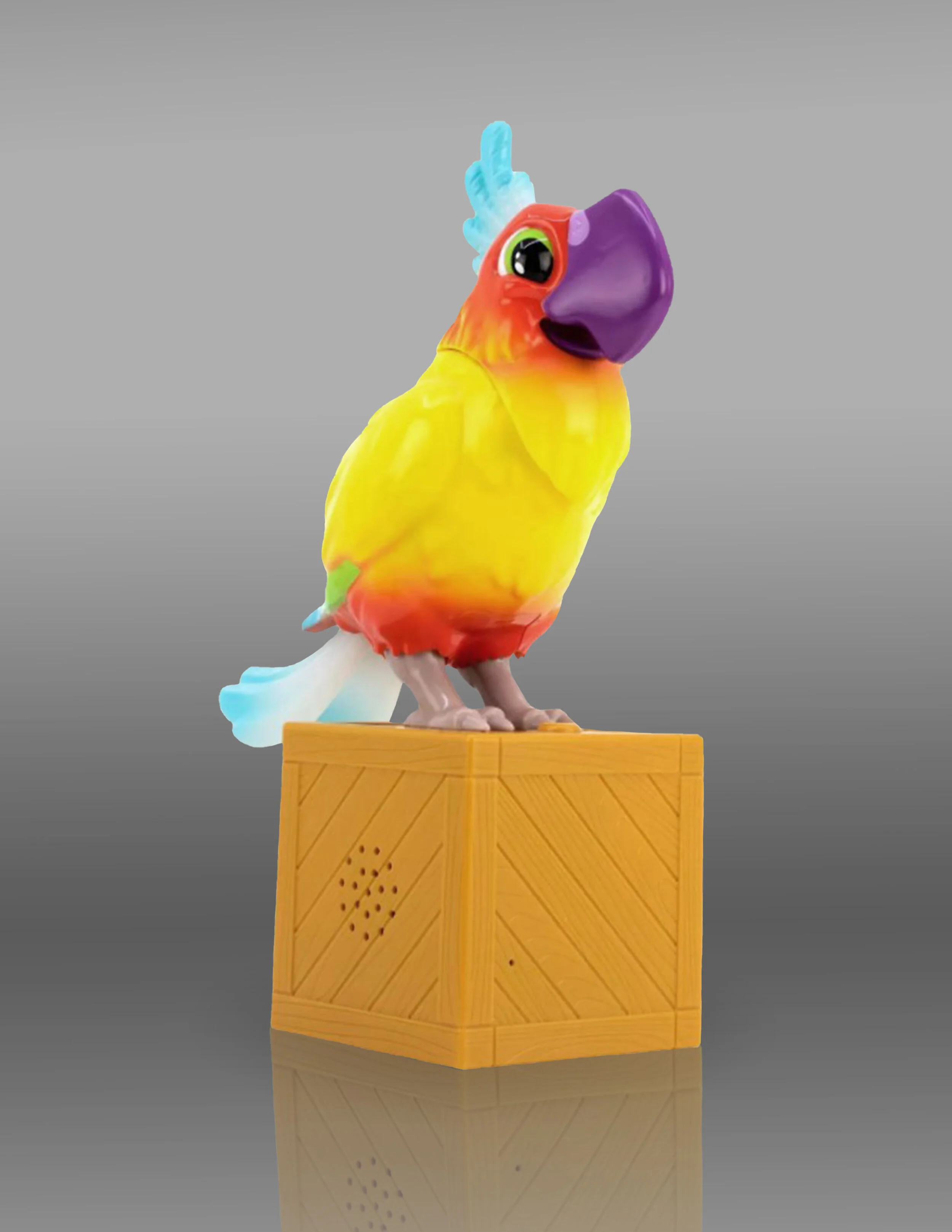 Macaw Final Product
