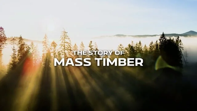 A thumbnail for the Structurlam video. A background of a foggy forest, with text overlaid that says "the story of mass timber".