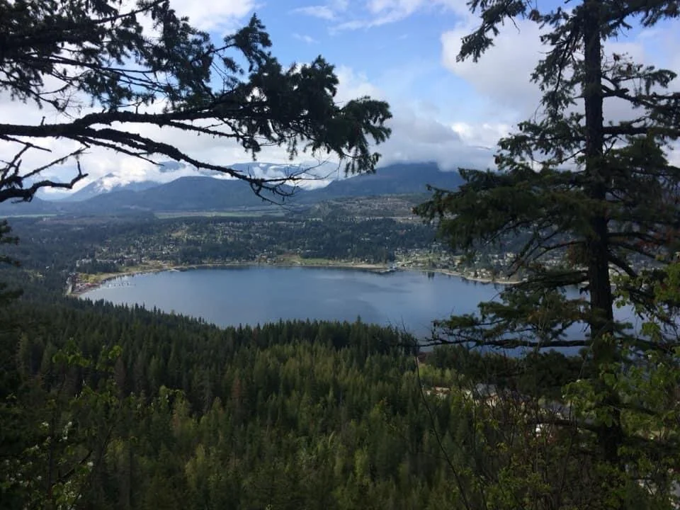 Blind Bay and Tappen Valley are seen from McArthur Heights summit. That’s our home down there! Shuswap Adventure Girl