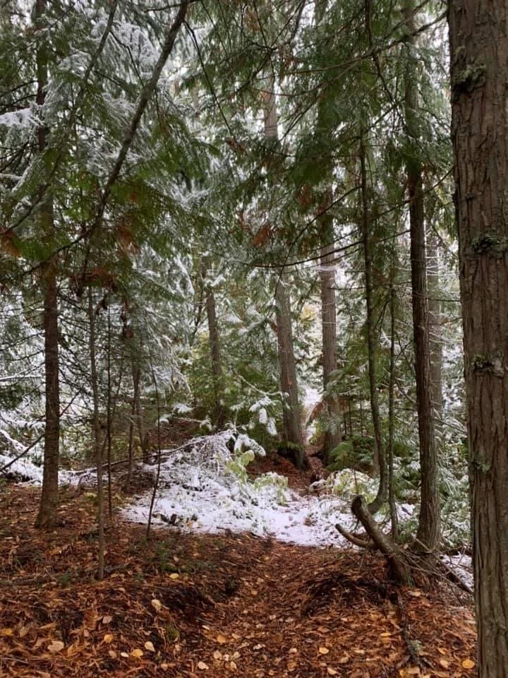 Shuswap Adventure Girl | Blind Bay, B.C.