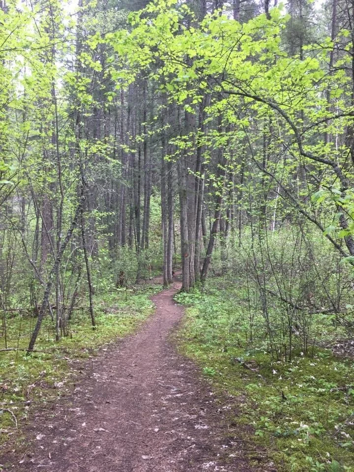 Shuswap Adventure Girl | MacArthur Heights Trail, Blind Bay, B.C.