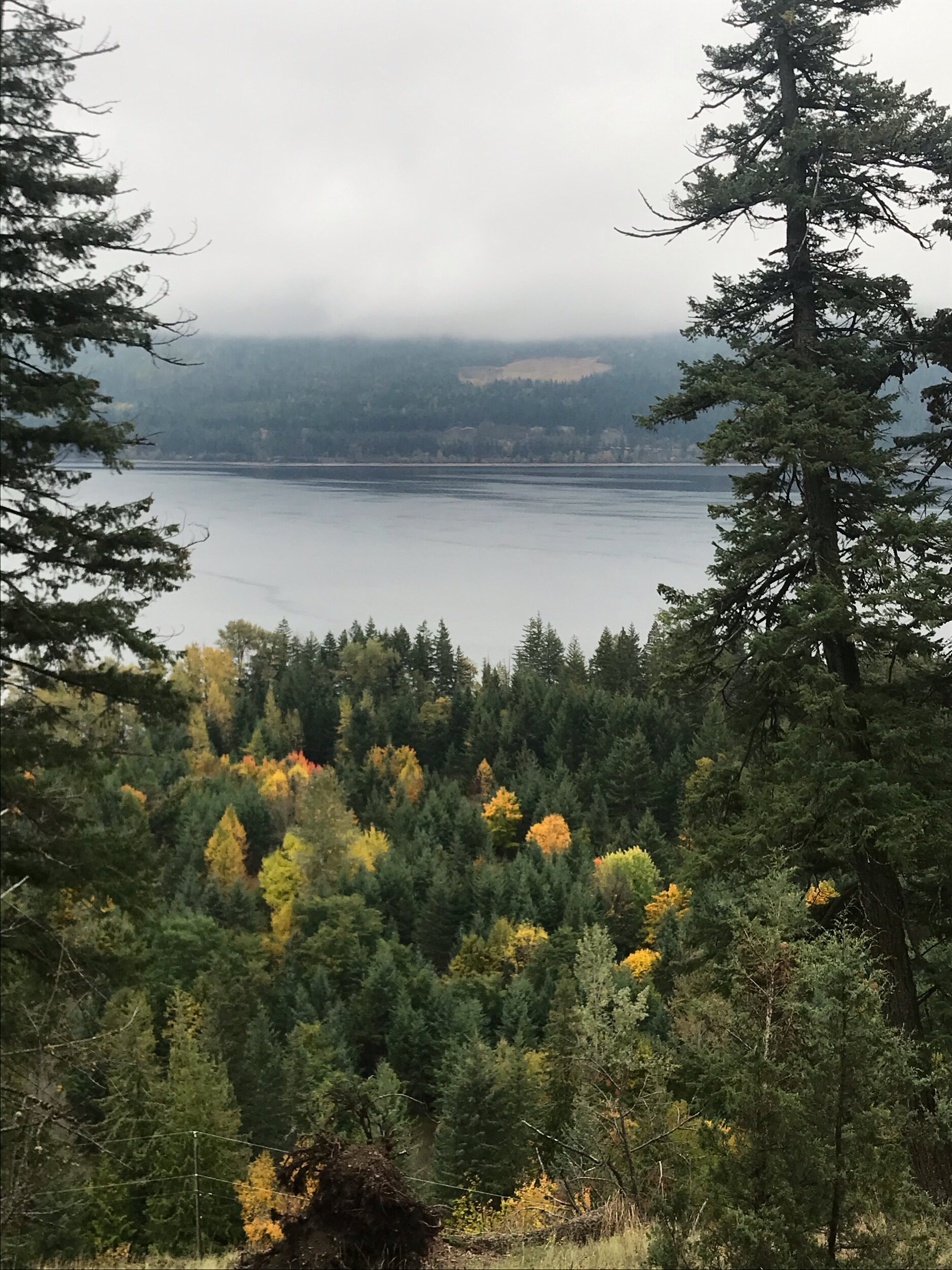 Shuswap Adventure Girl | Reinecker Creek Trail | Sunnybrae Canoe Pt Rd, Tappen, B.C.