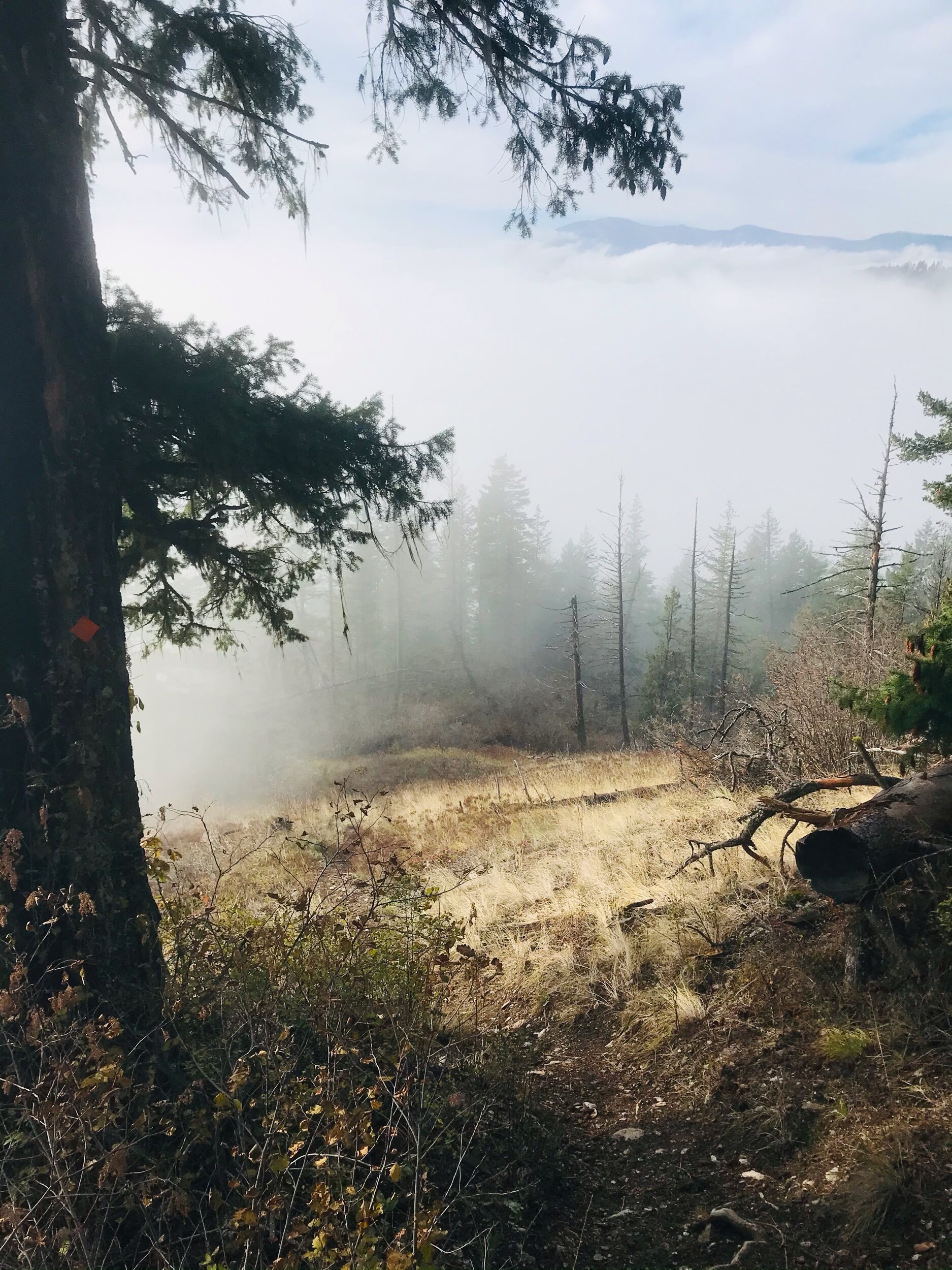 Shuswap Adventure Girl | White Lake Lookout Trail B.C.