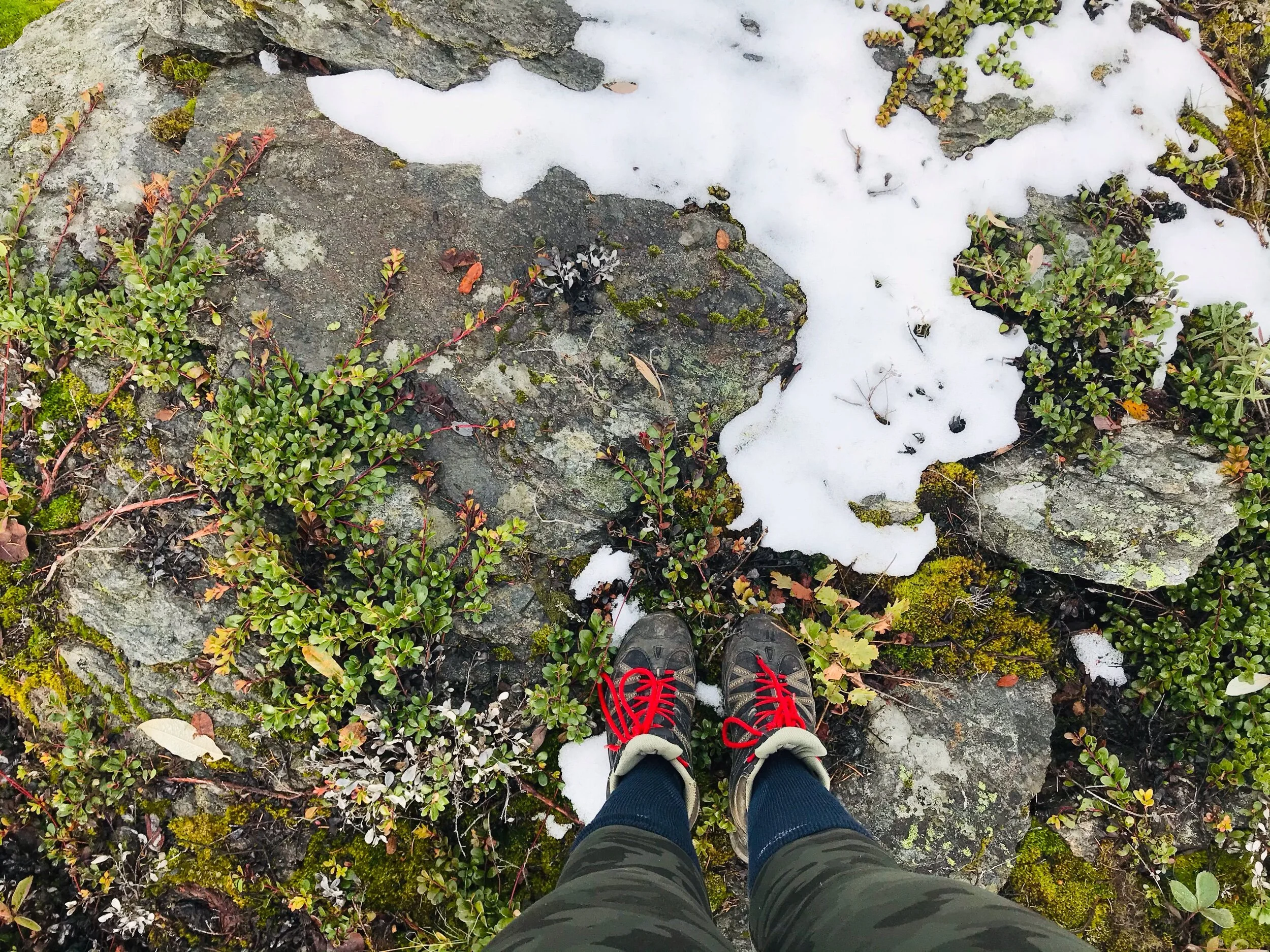 Shuswap Adventure Girl | White Lake Lookout Trail B.C.