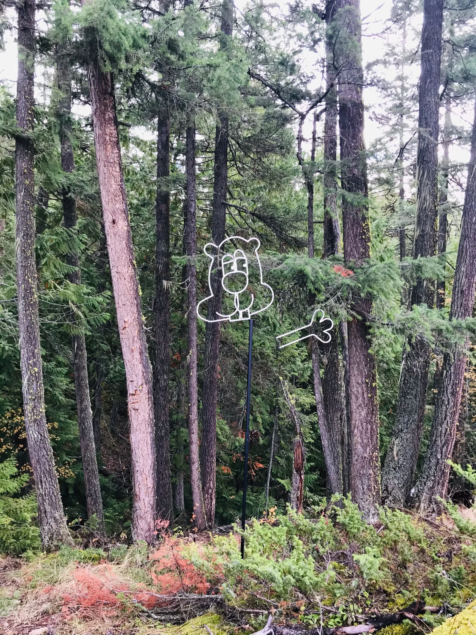 Shuswap Adventure Girl | White Lake Lookout Trail B.C.