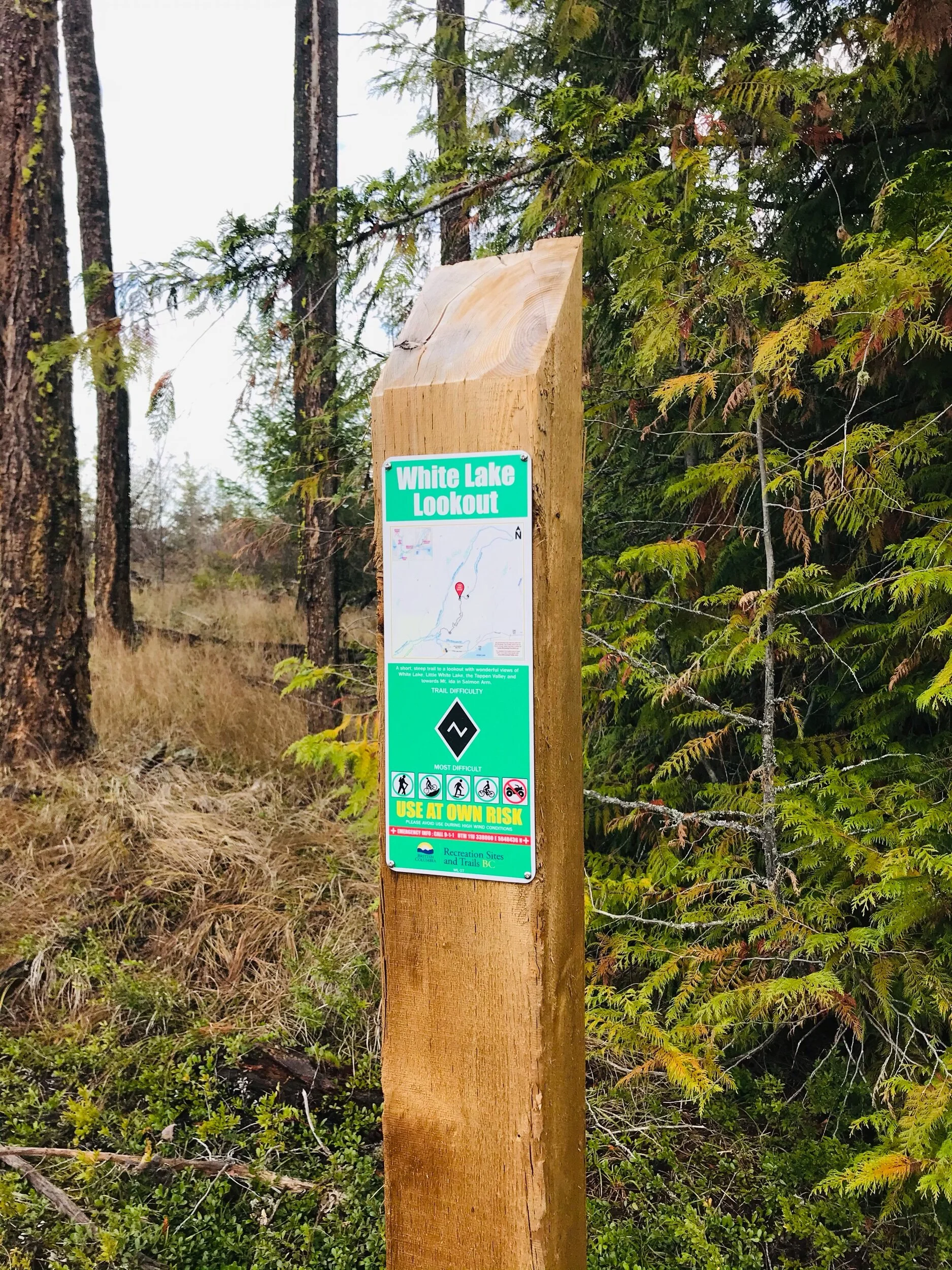 Shuswap Adventure Girl | White Lake Lookout Trail B.C.