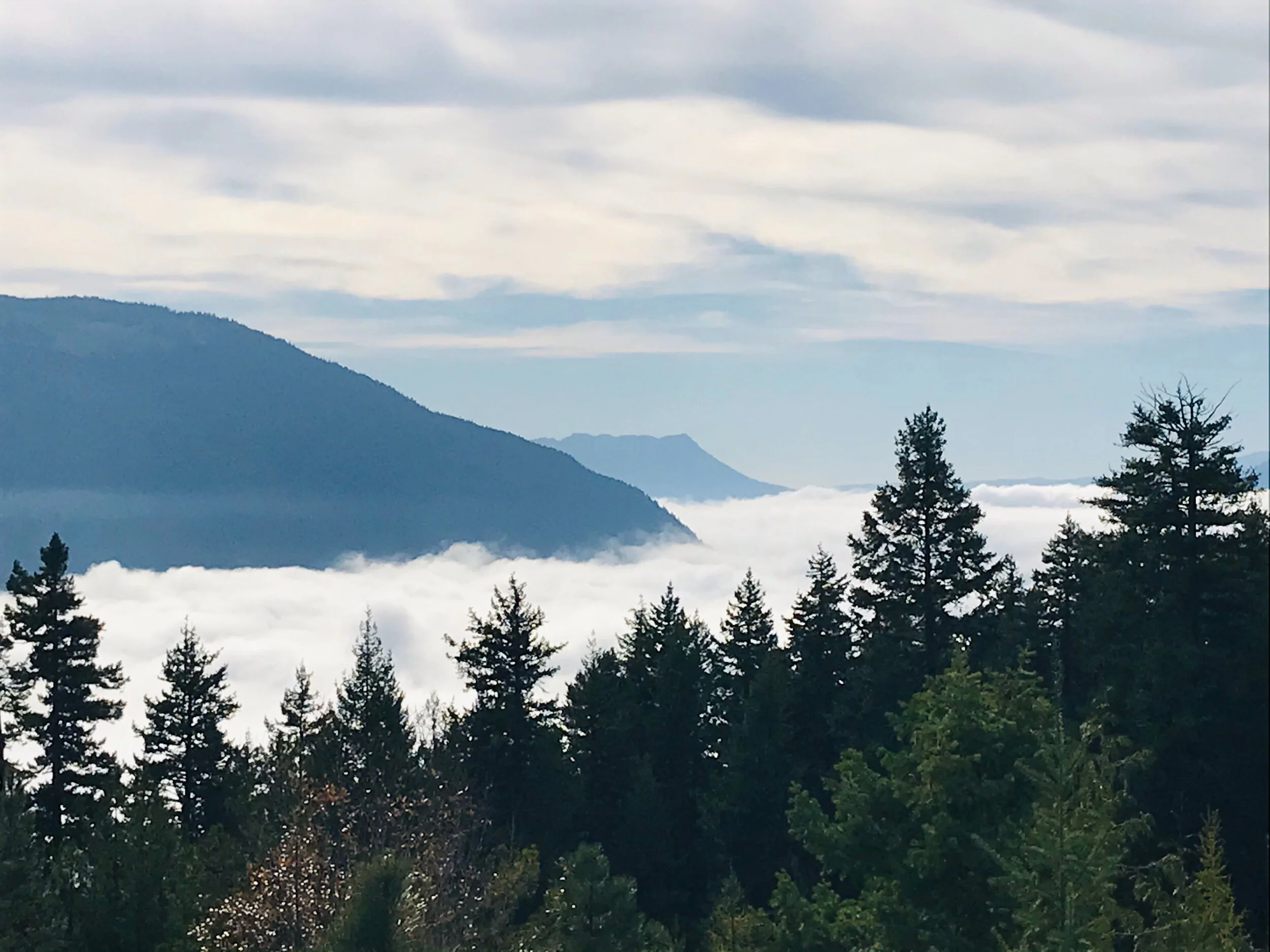 Shuswap Adventure Girl | White Lake Lookout Trail B.C.