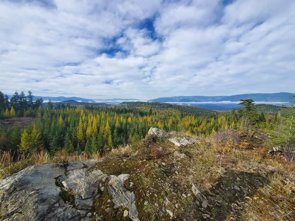 Shuswap Adventure Girl | White Lake Lookout Trail B.C.