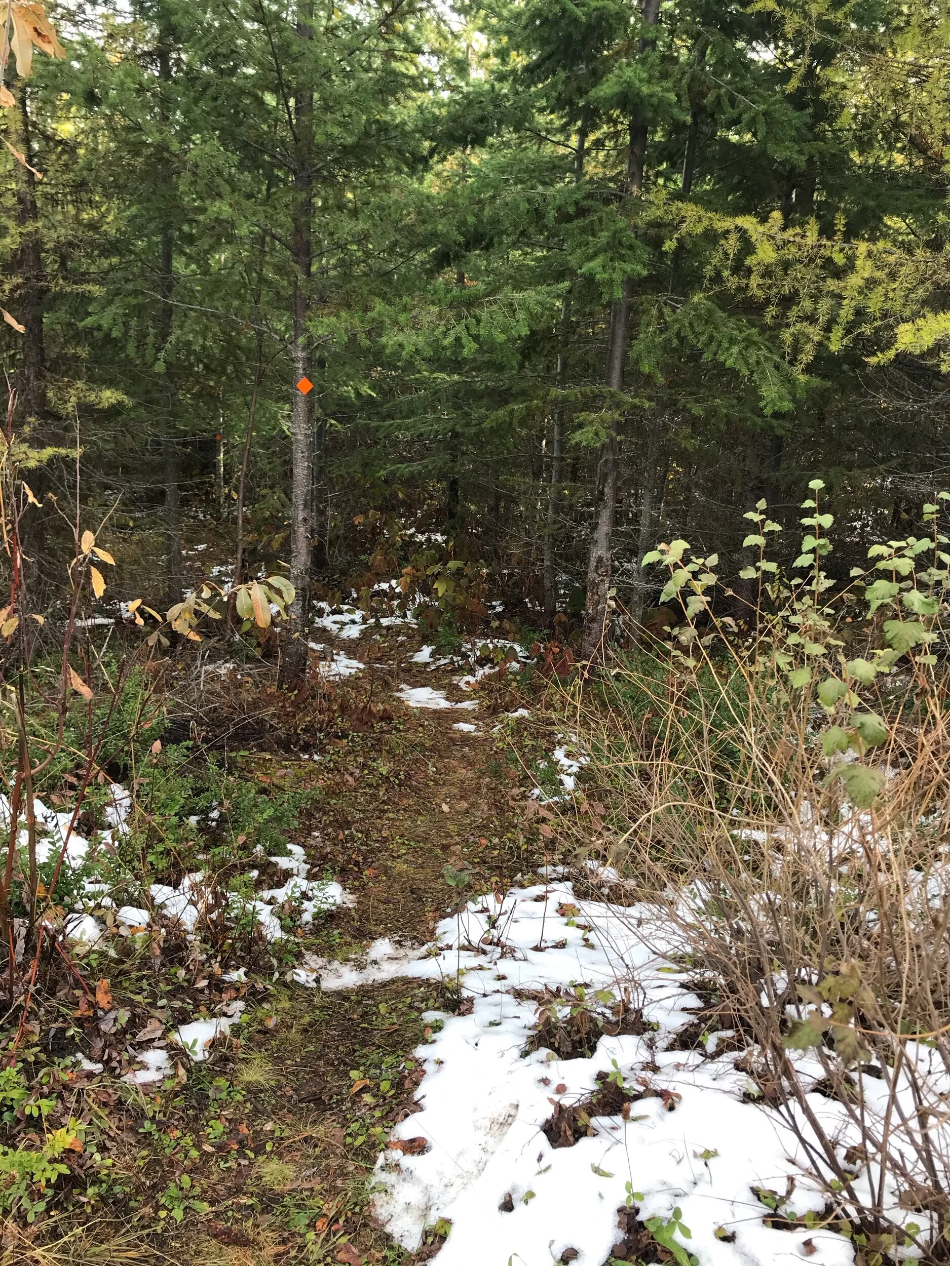 Shuswap Adventure Girl | White Lake Lookout Trail B.C.