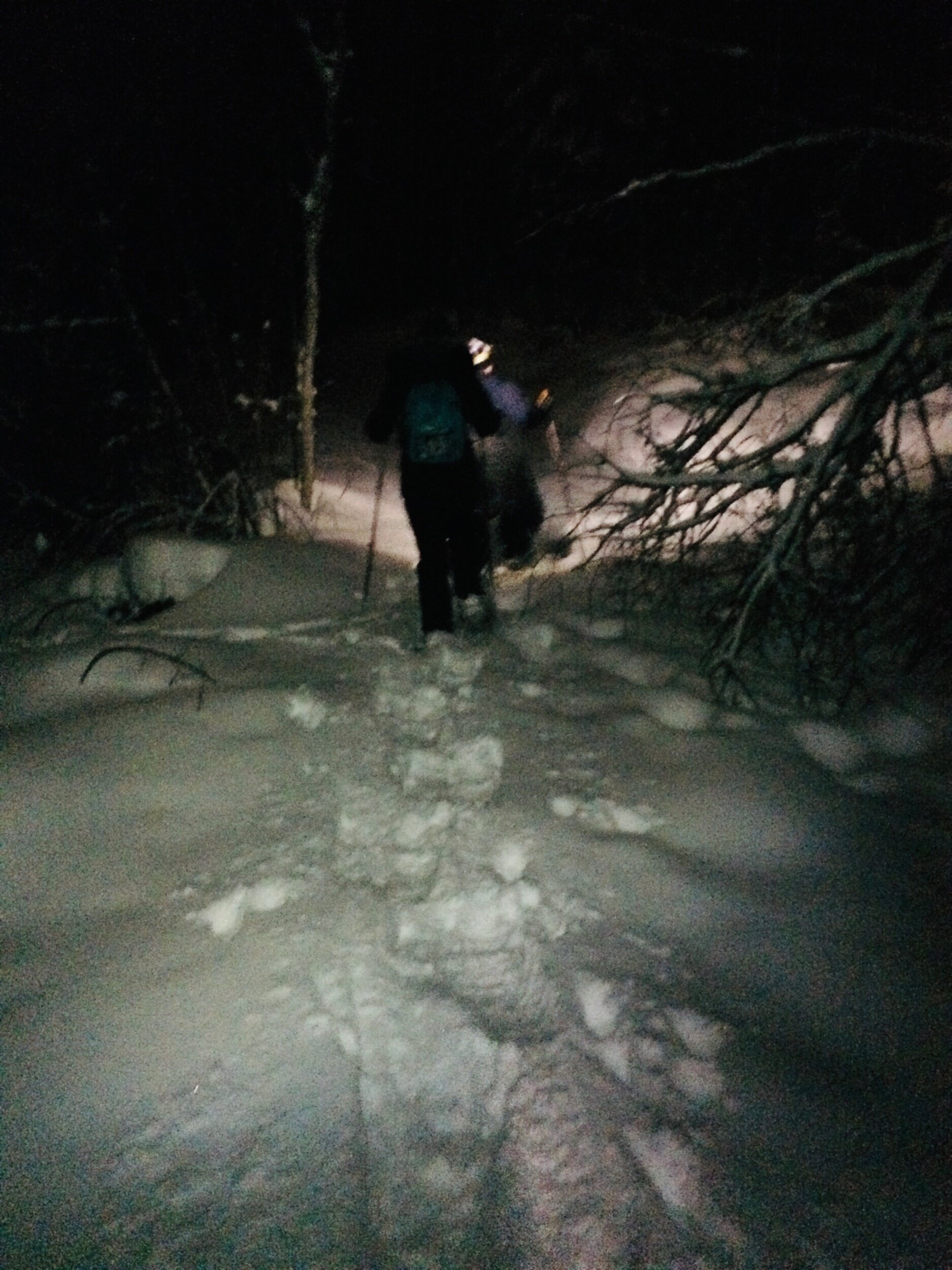 Shuswap Adventure Girl | Night snowshoe on the Balmoral trails in Blind Bay