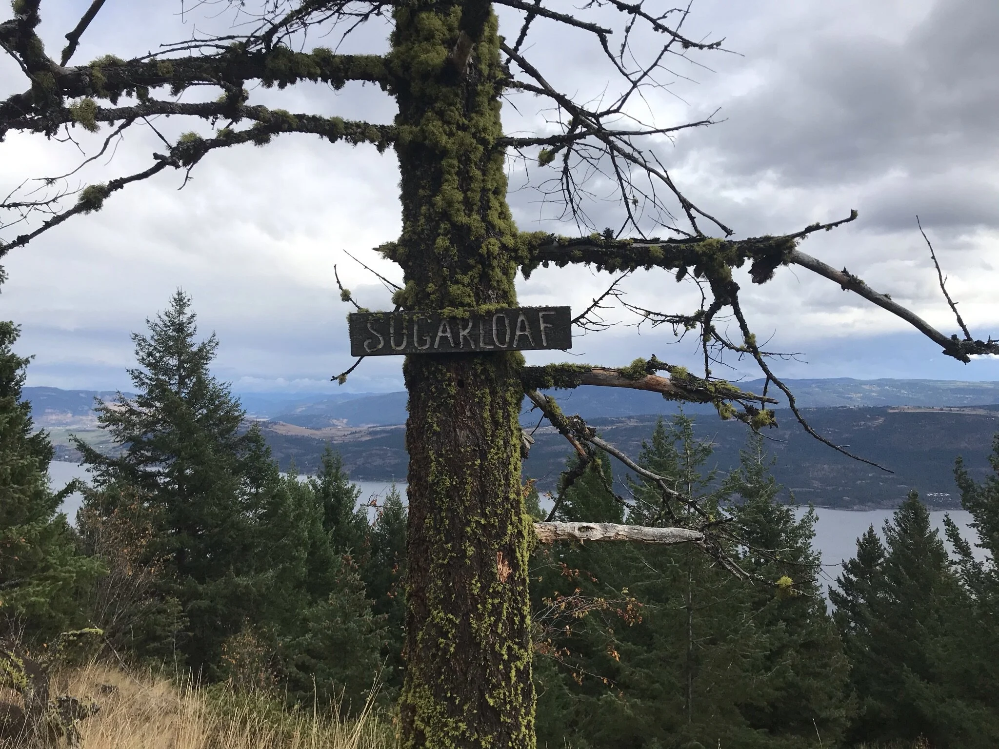 Sugarloaf Mountain | An Okanagan Family Treat