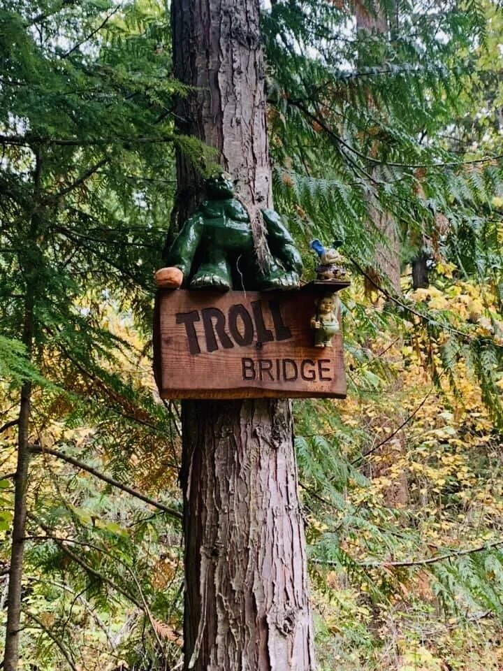 The fun ‘Troll Trail’, South Canoe Trail System | Salmon Arm B.C. Shuswap Adventure Girl Image 5