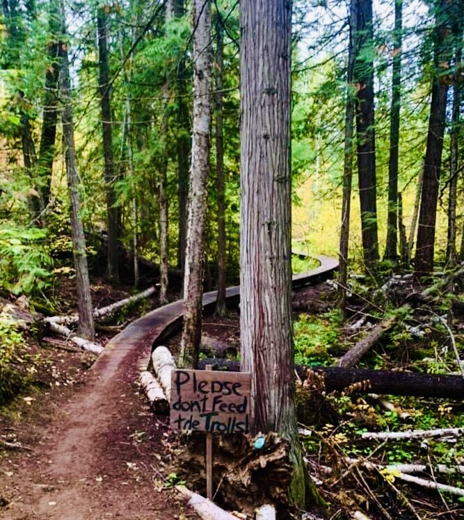 The fun ‘Troll Trail’, South Canoe Trail System | Salmon Arm B.C. Shuswap Adventure Girl
