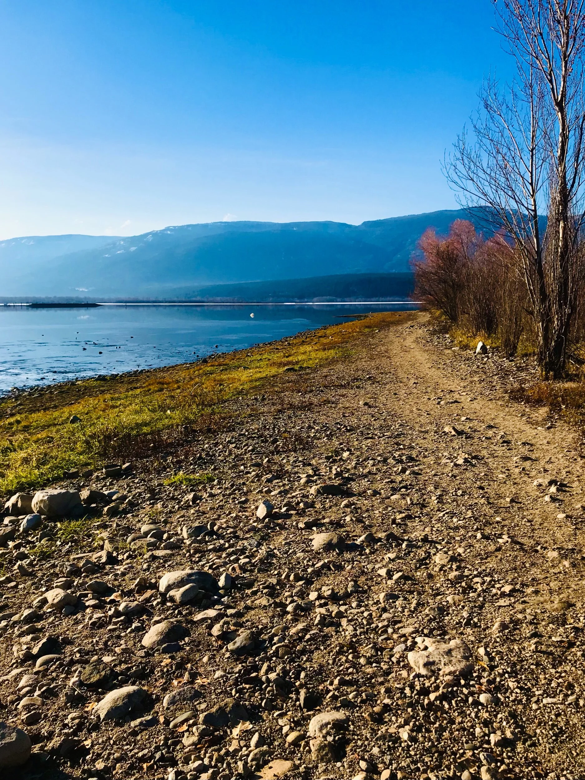 Christmas Island at the Salmon Arm Foreshore Nature Trail &amp; Raven Trail  Shuswap Adventure Girl