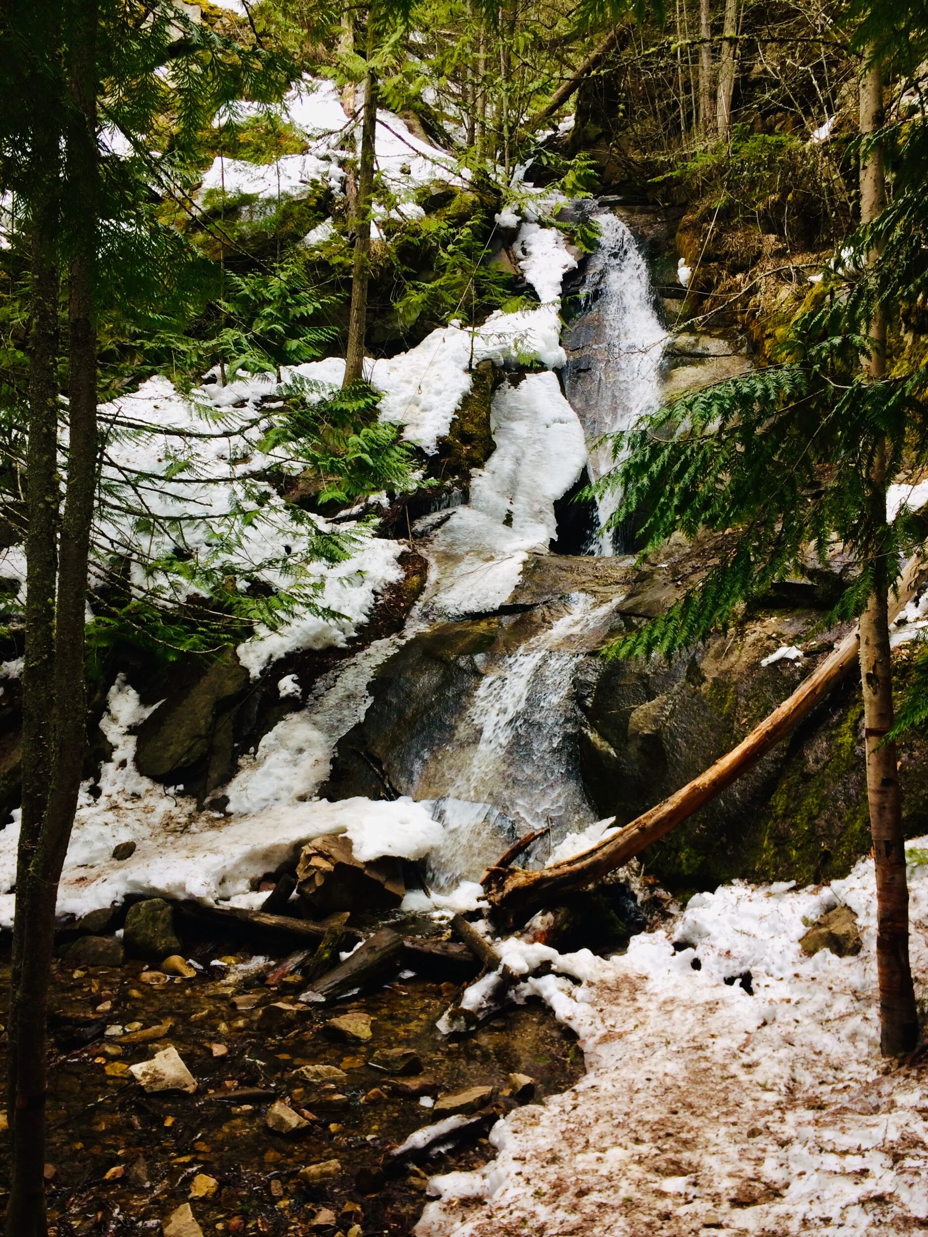 Syphon Falls &amp; Gayle Creek Loop Trail Shuswap Adventure Girl