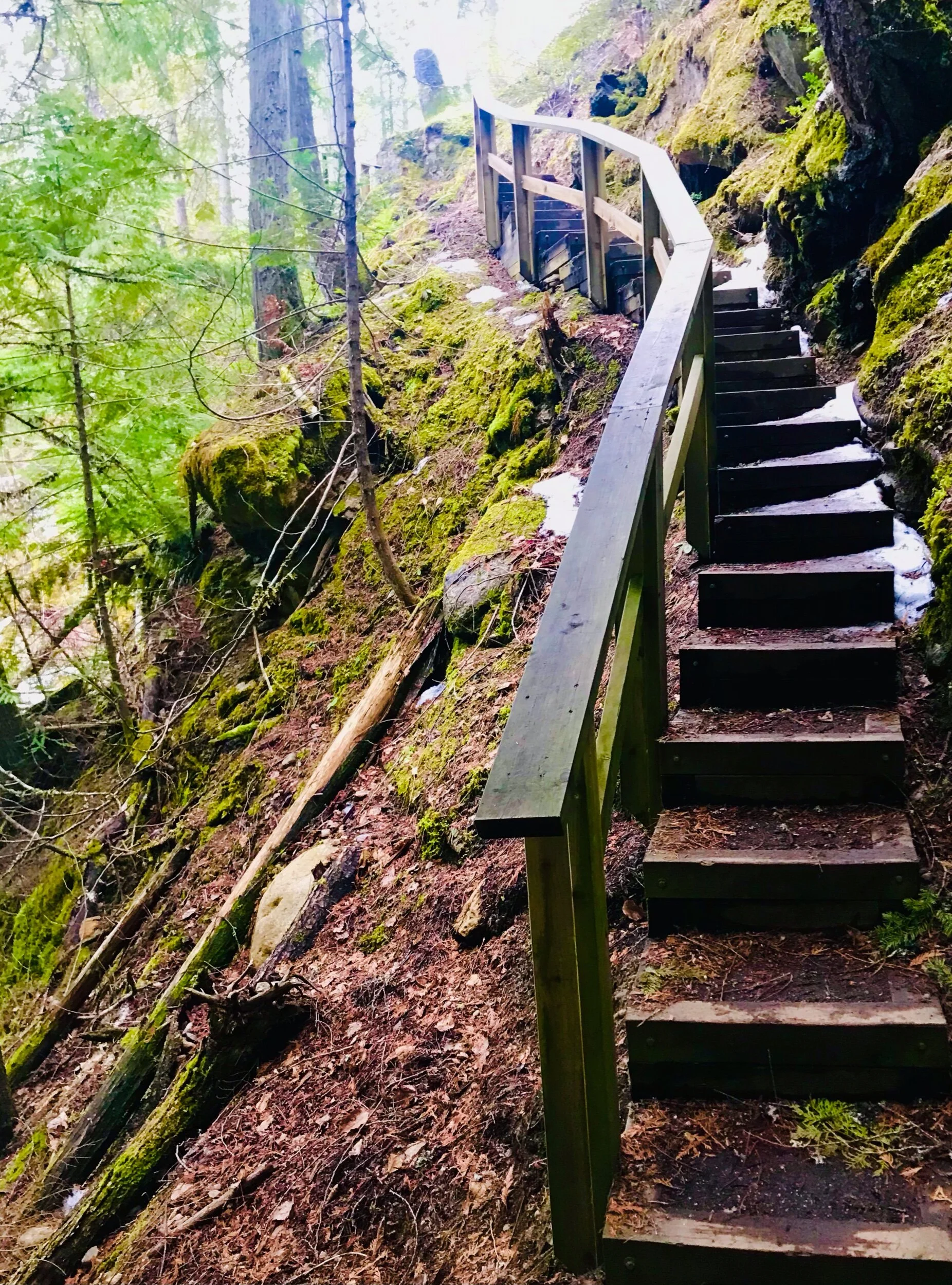 Sicamous Creek Falls Shuswap Adventure Girl