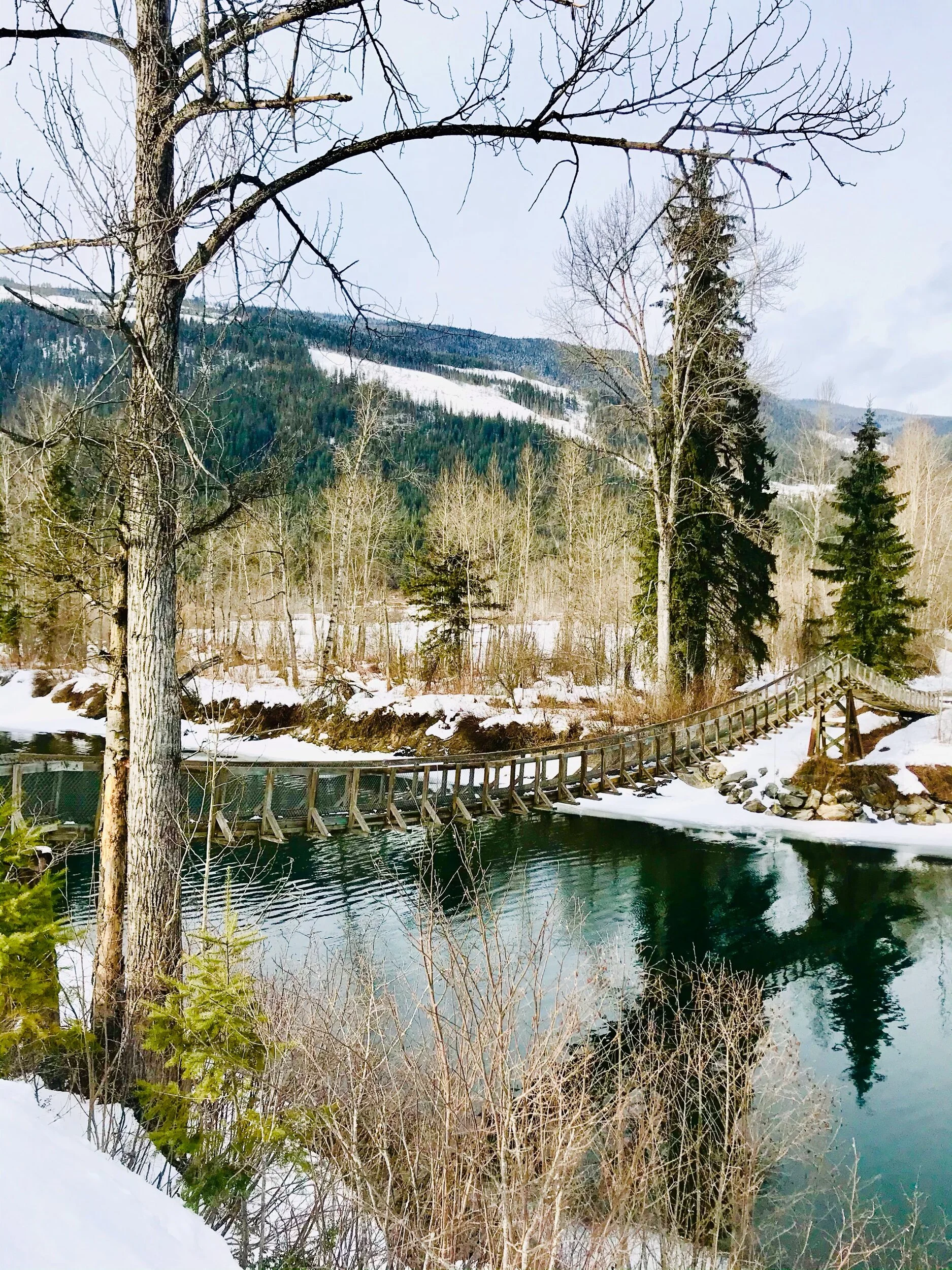Malakwa Suspension Bridge Shuswap Adventure Girl