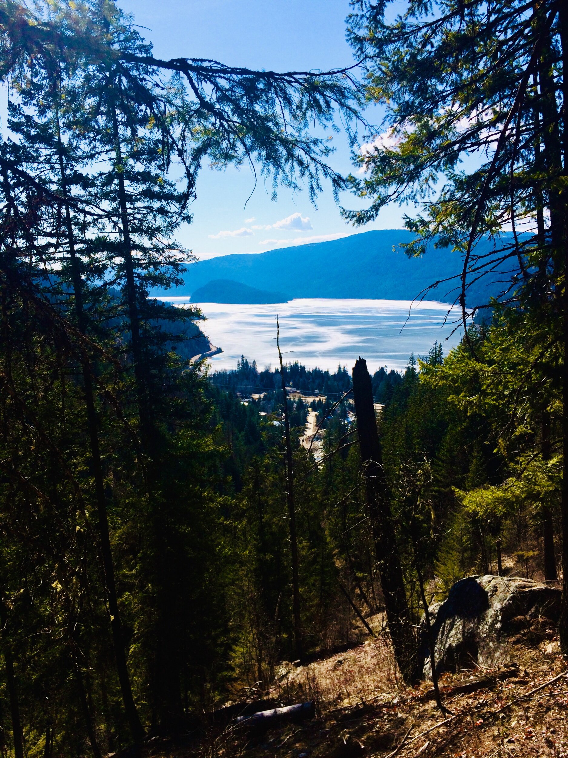 View of Mara Lake and beyond from the Lizard Loop Trail Shuswap Adventure Girl
