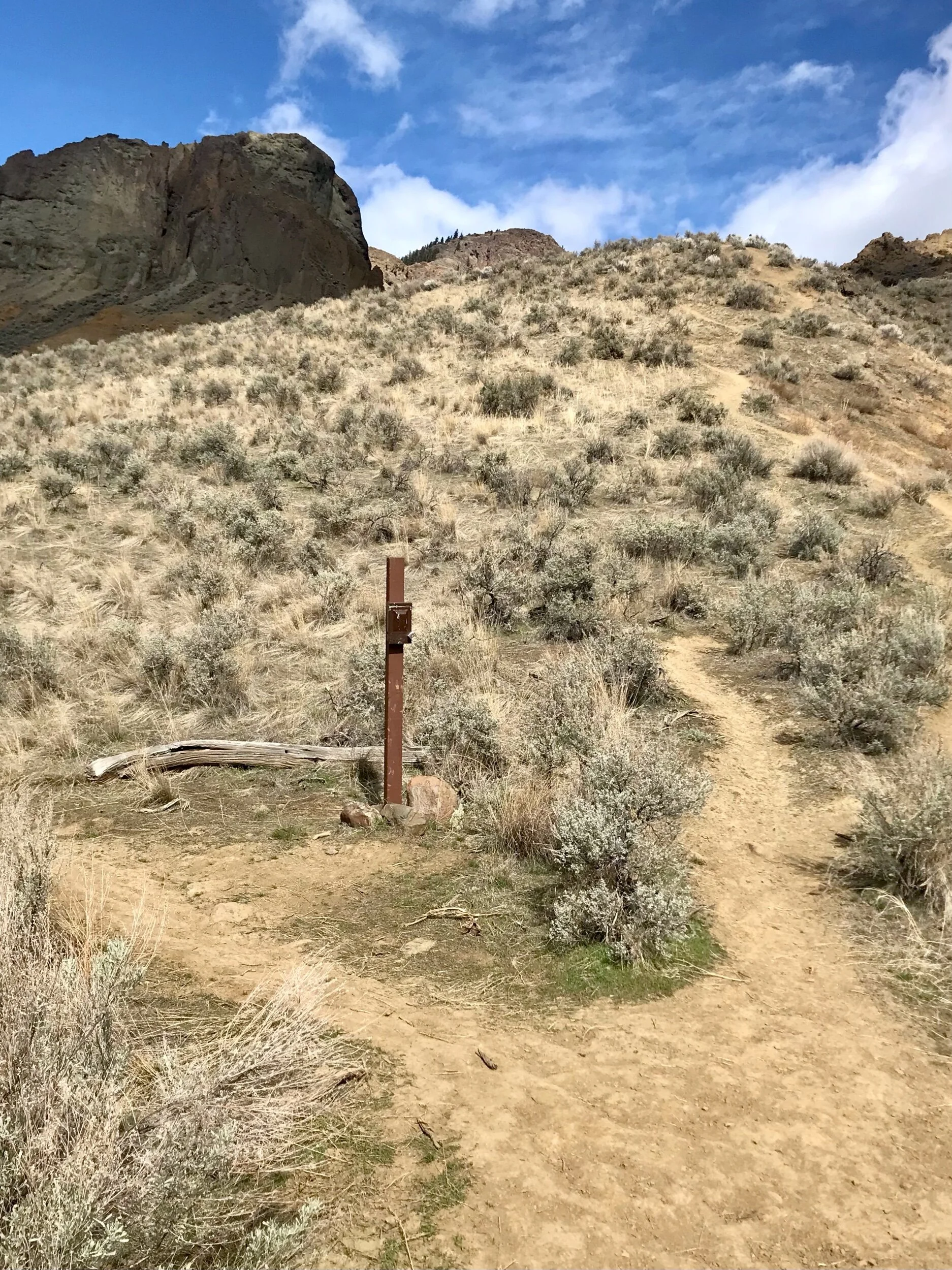 Trail junction marked by BC parks, we stayed left.