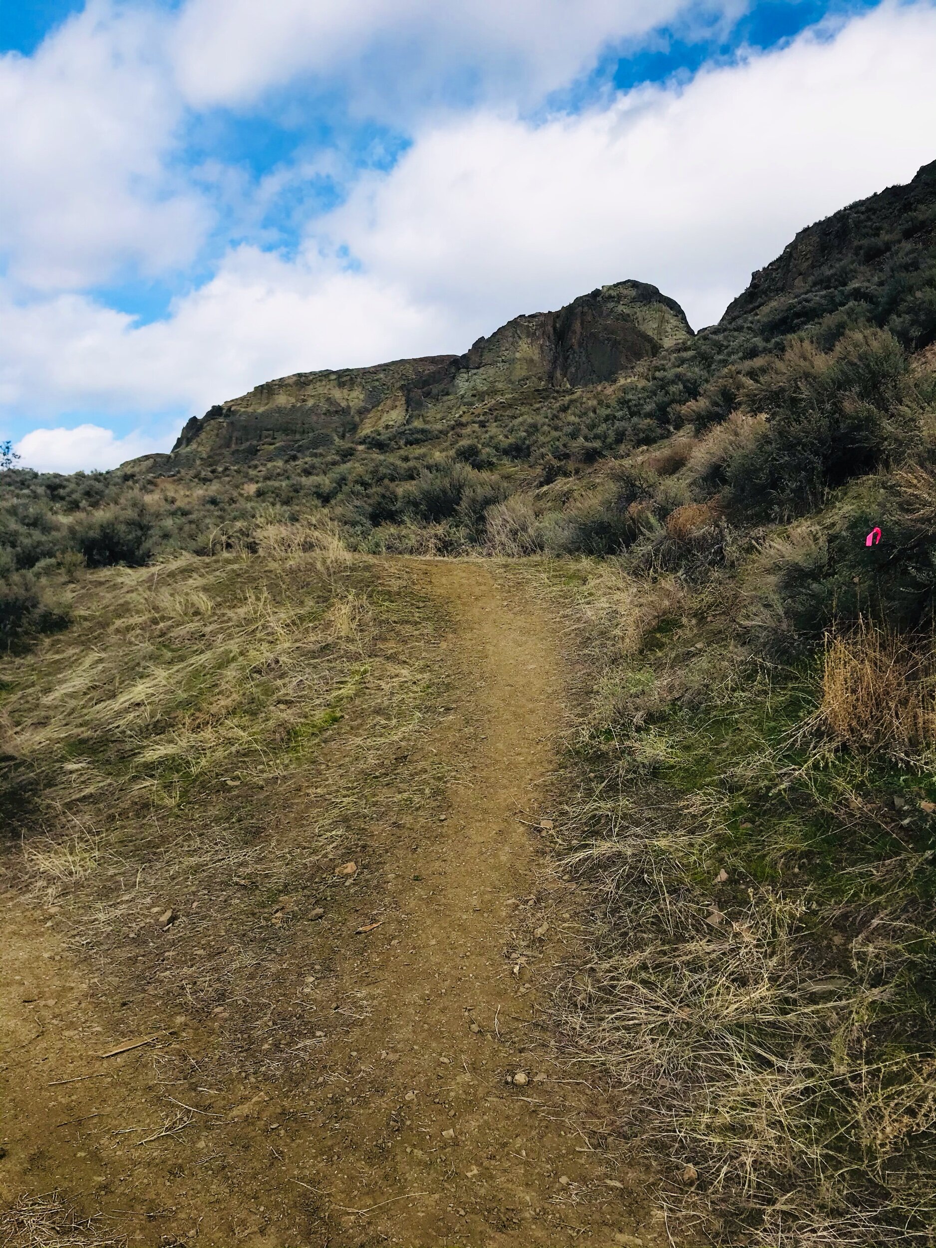 The TH.  A single pink flag tape marks it