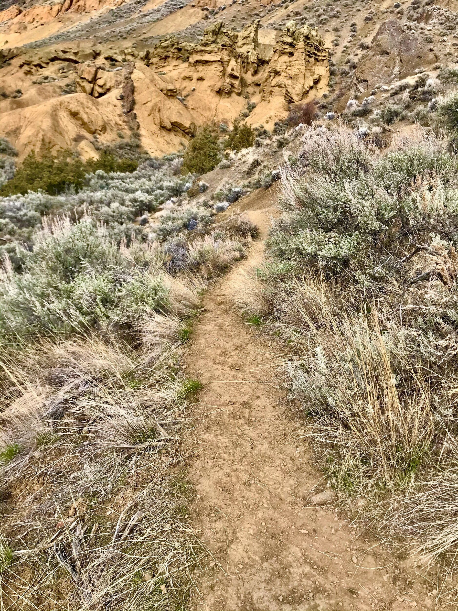The sandy and winding trail
