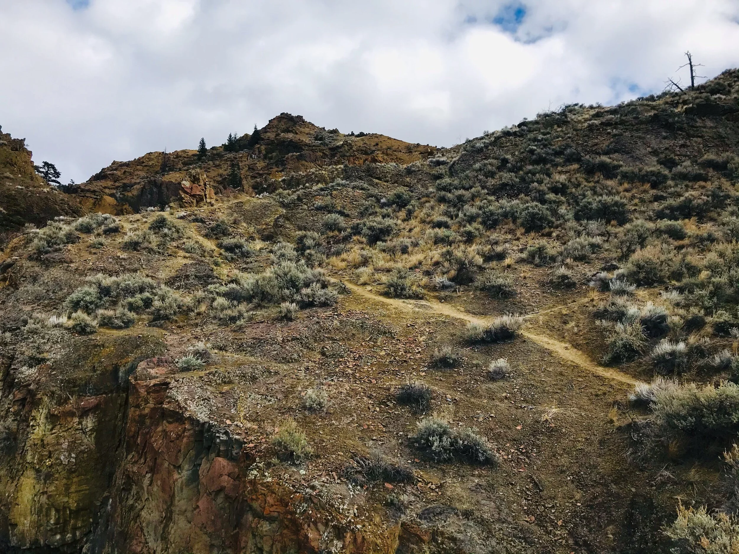 The little sandy trail