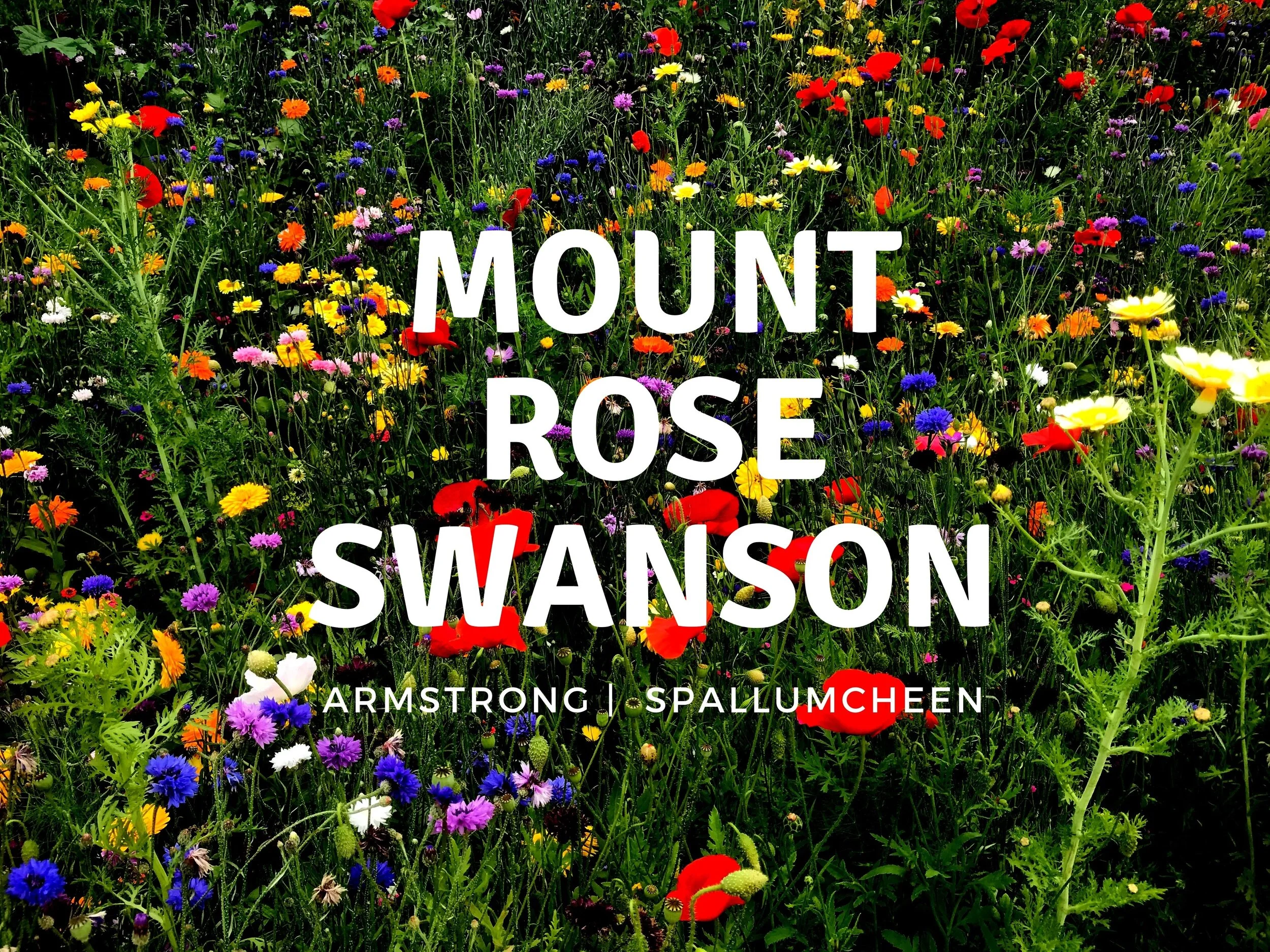 Mount Rose Swanson | Armstrong | Spallumcheen B.C.