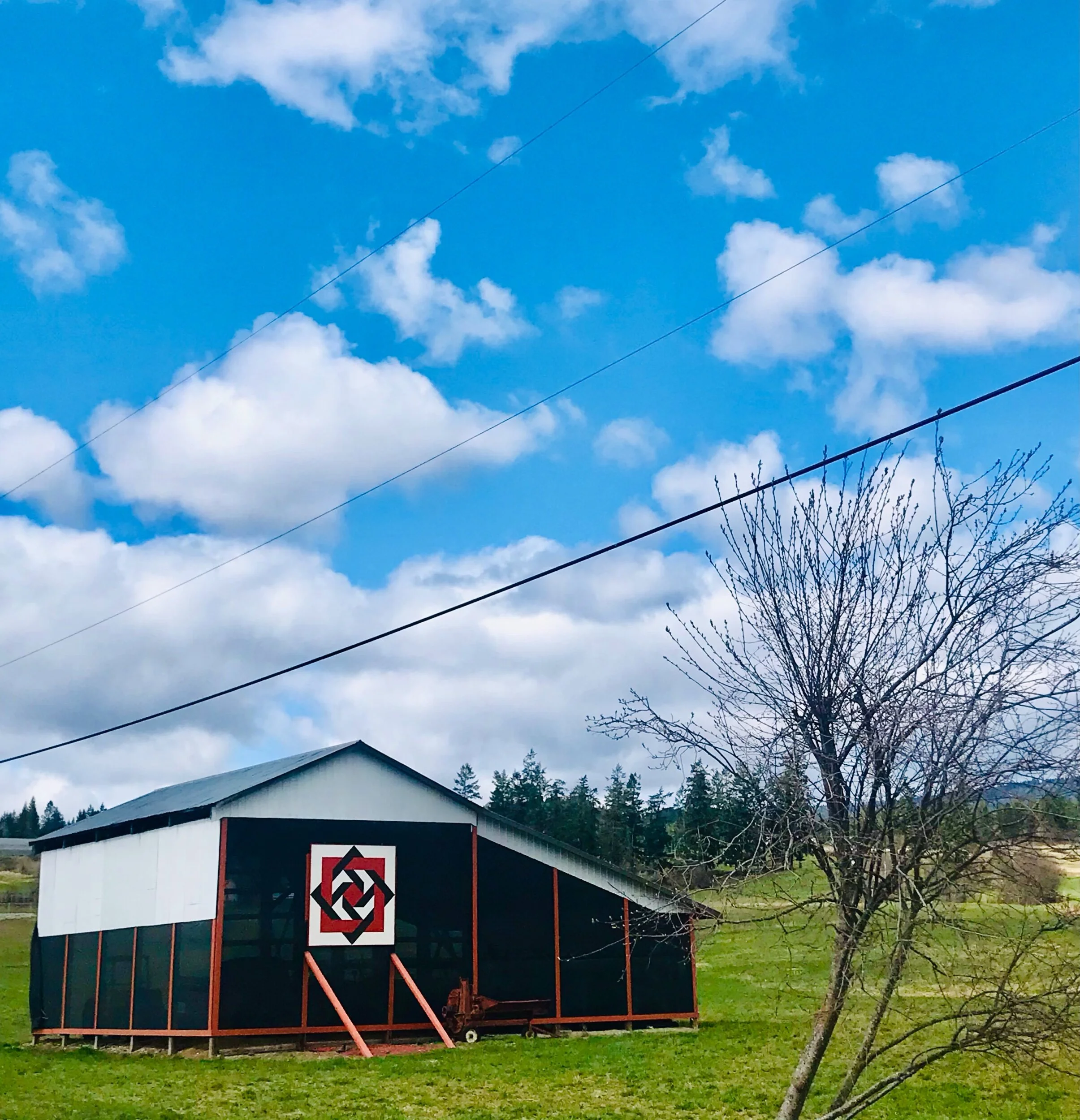 A newer addition to the The Barn Quilt Trail. “ The Farmers Star” Shuswap Adventure Girl