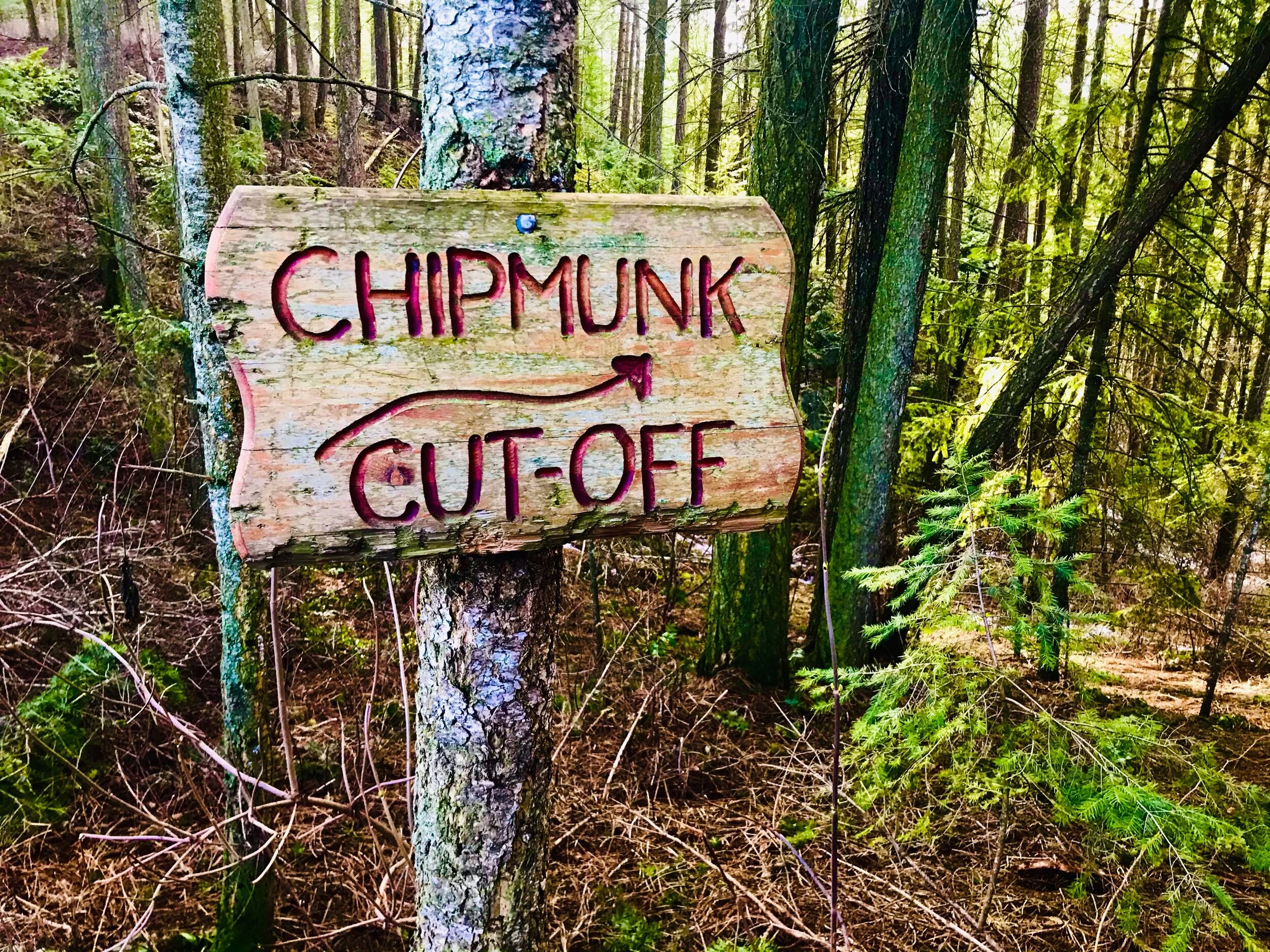 Thomas Hayes Ecological Park charming sinage on the family friendly trail Shuswap Adventure Girl