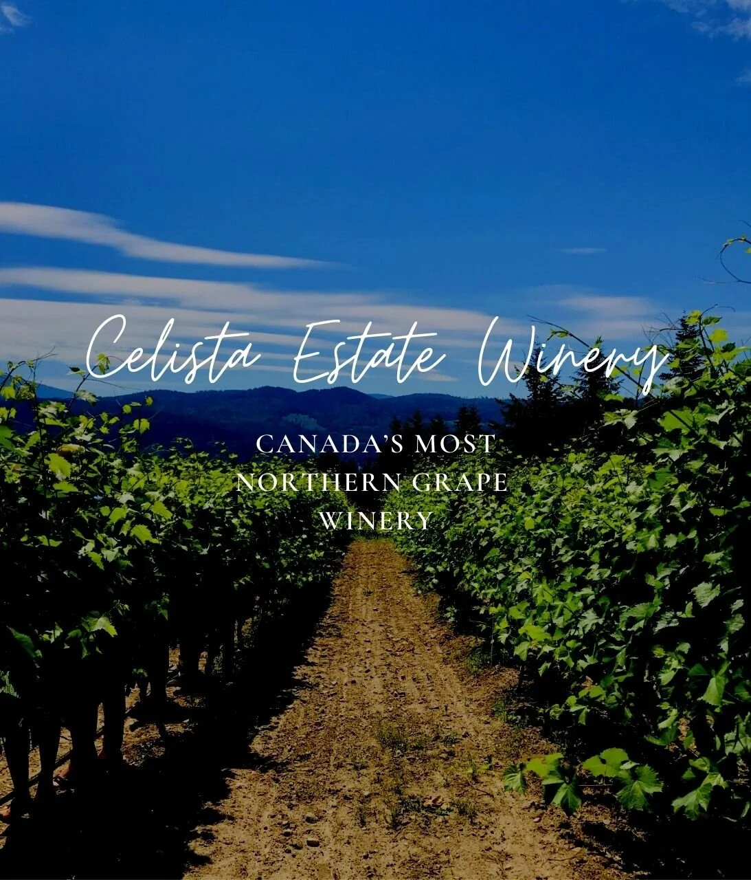 Celista Estate Winery
