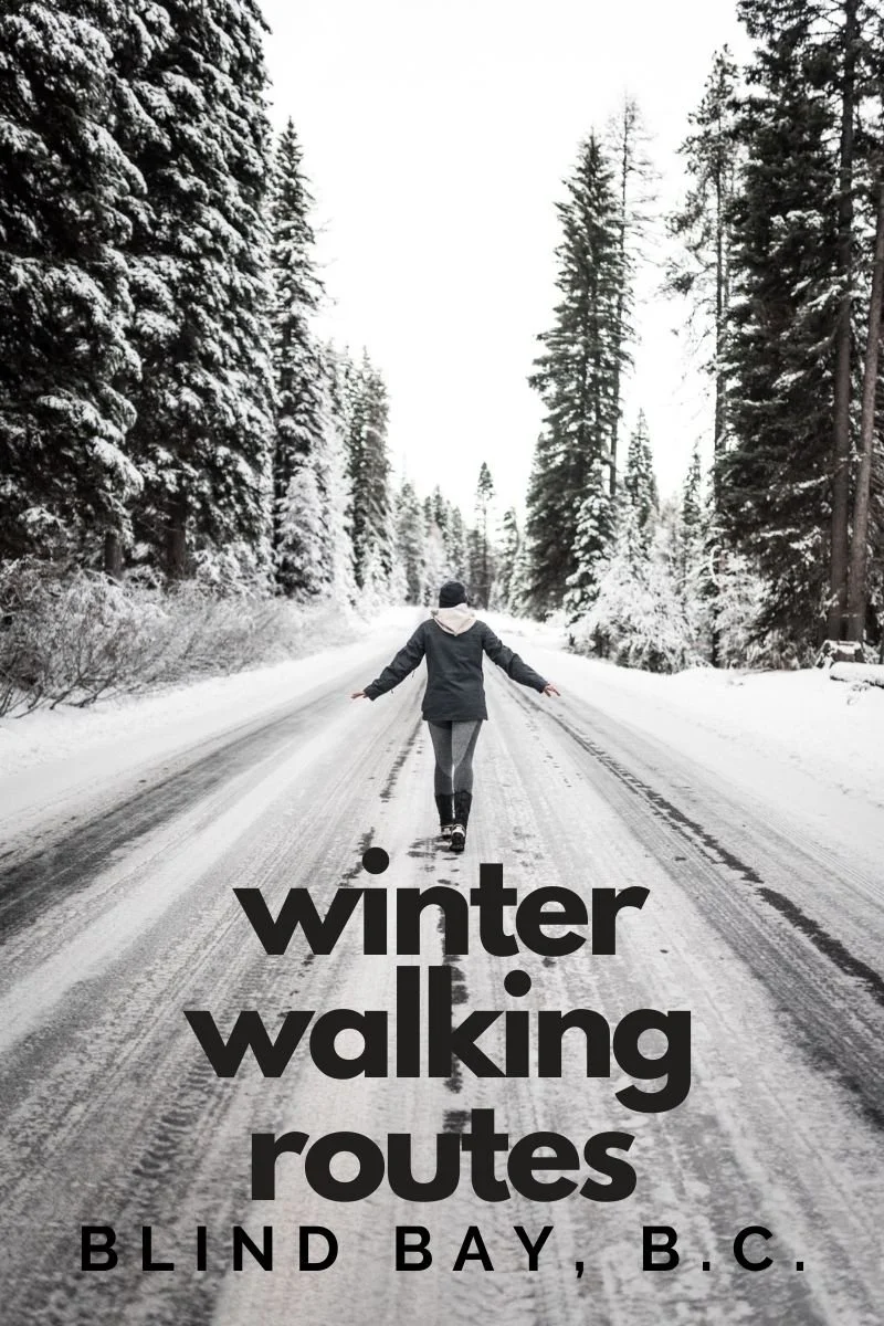 Walking Routes in Blind Bay | Winter Edition