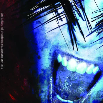 The Unfortunates- We Talked Of Shadows