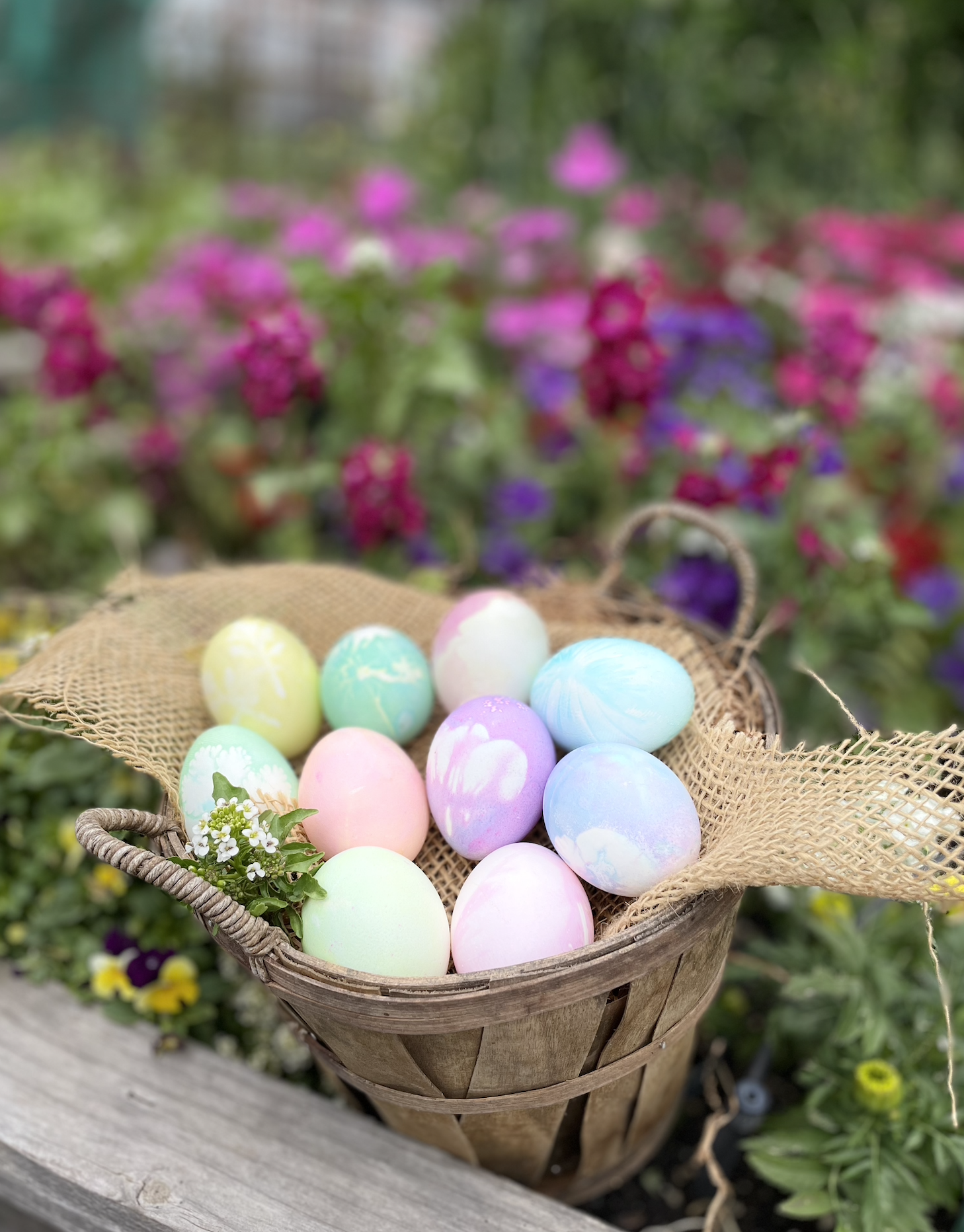 flower dyed eggs.png