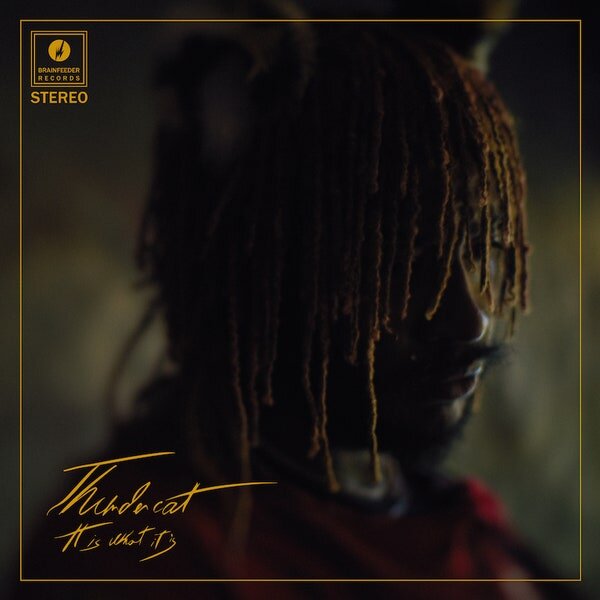It Is What It Is - Thundercat