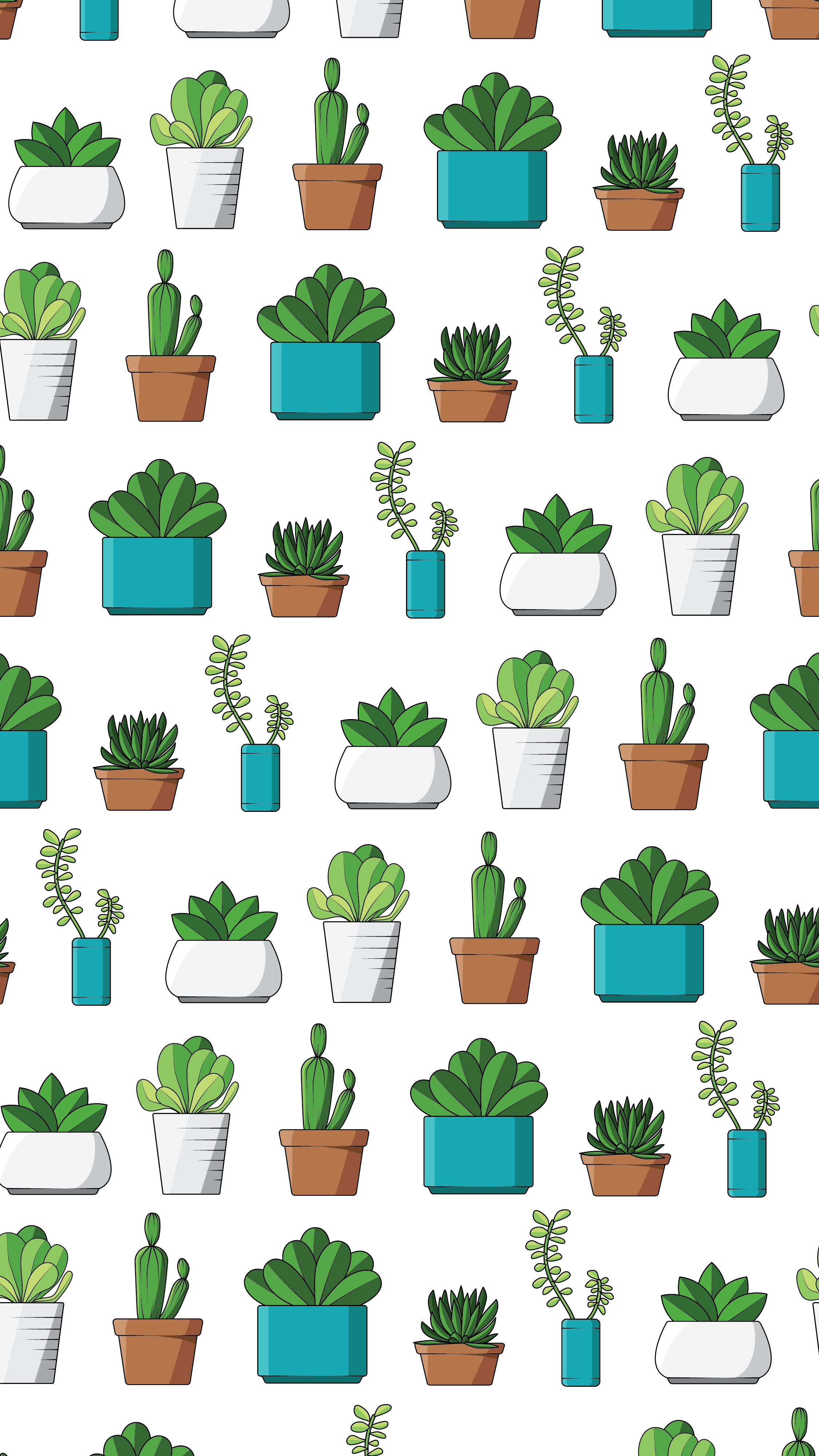 succulents-01.png