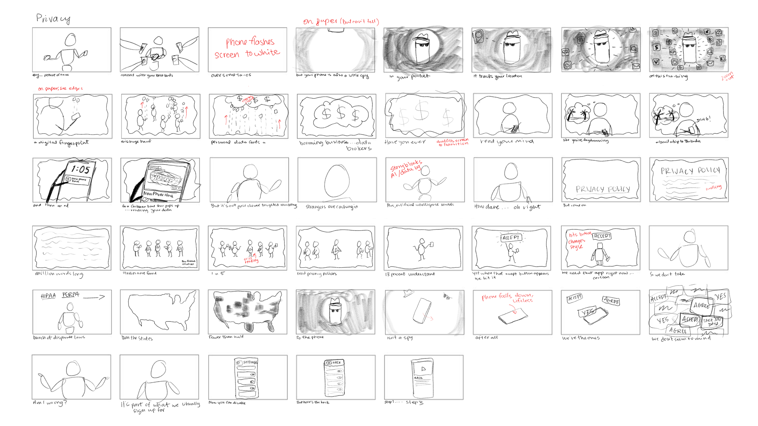 Privacy Storyboard