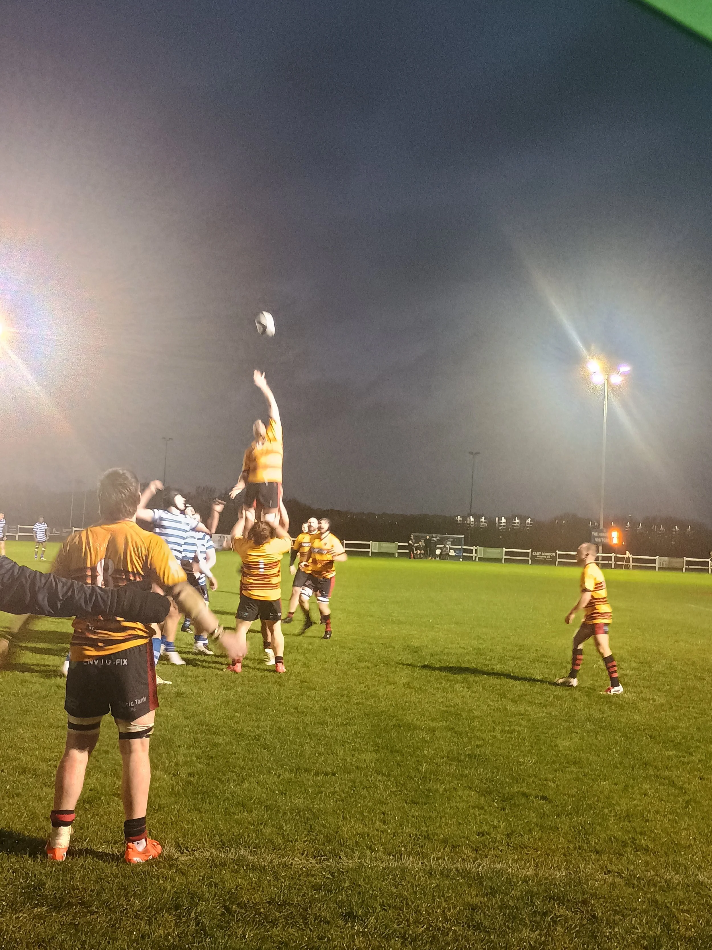 A rugby match is being played at night under stadium lights. Players in striped jerseys are competing for the ball, with one player being lifted for a line-out, reaching to catch the ball in the sky.
