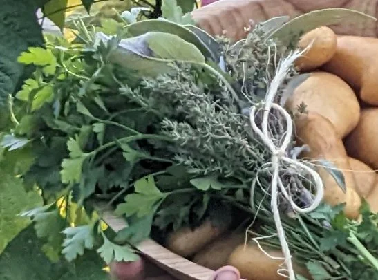 Herb Bundle