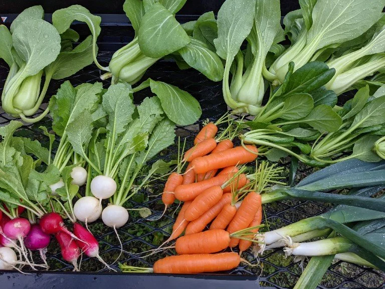 VeggieMix.jpg
