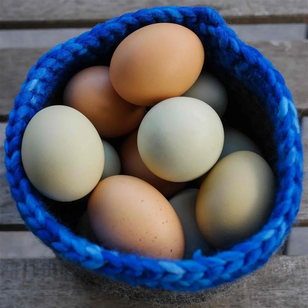 Chicken Eggs