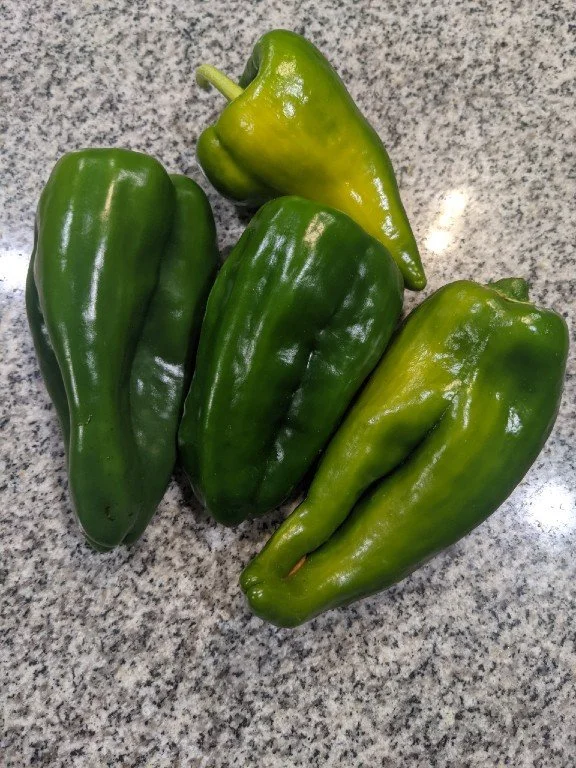 AnchoPeppers.jpg