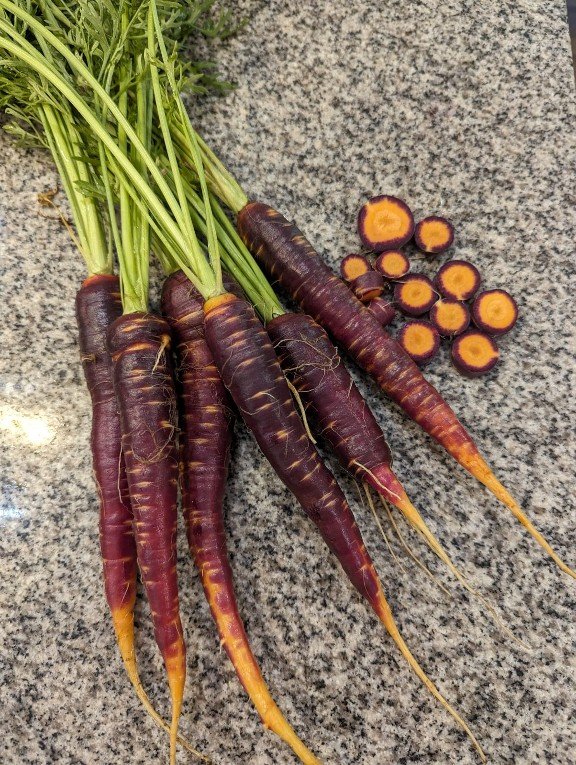 PurpleCarrots.jpg